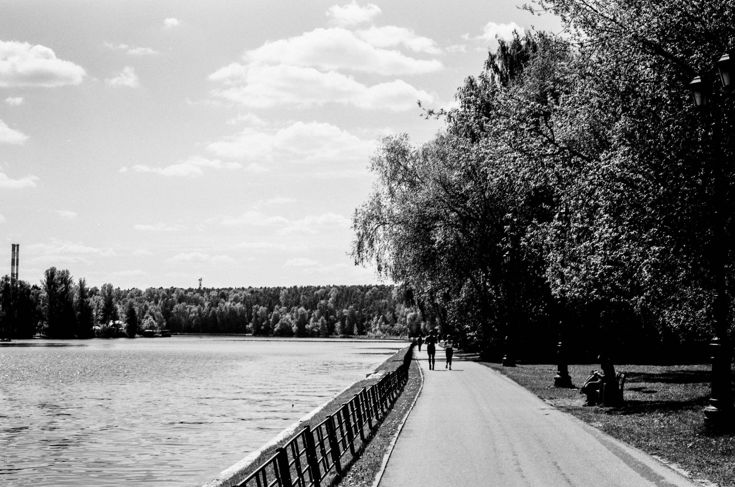 Kodak Retina Reflex S пример фото