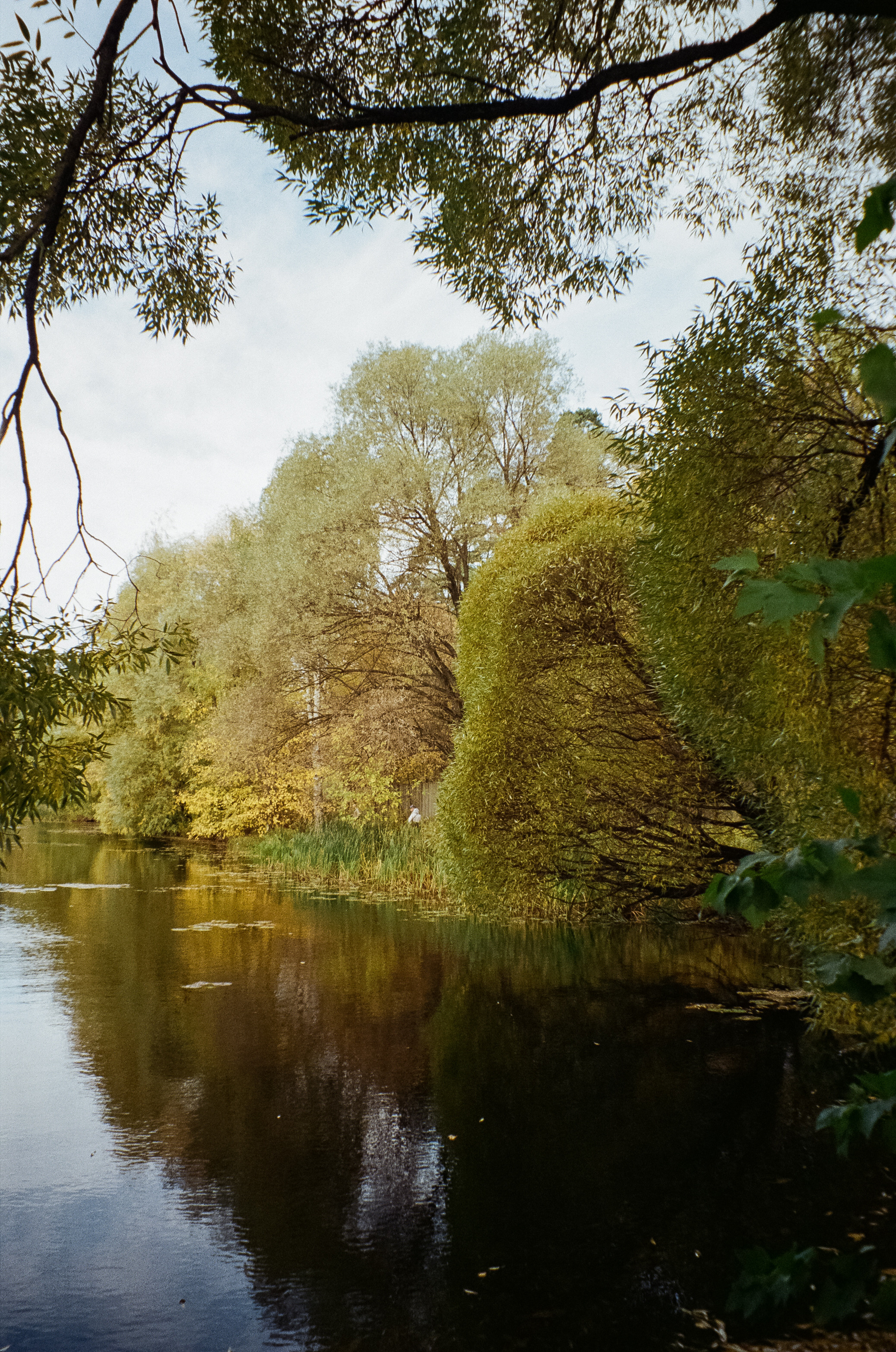 Осень на Kodak Gold 200