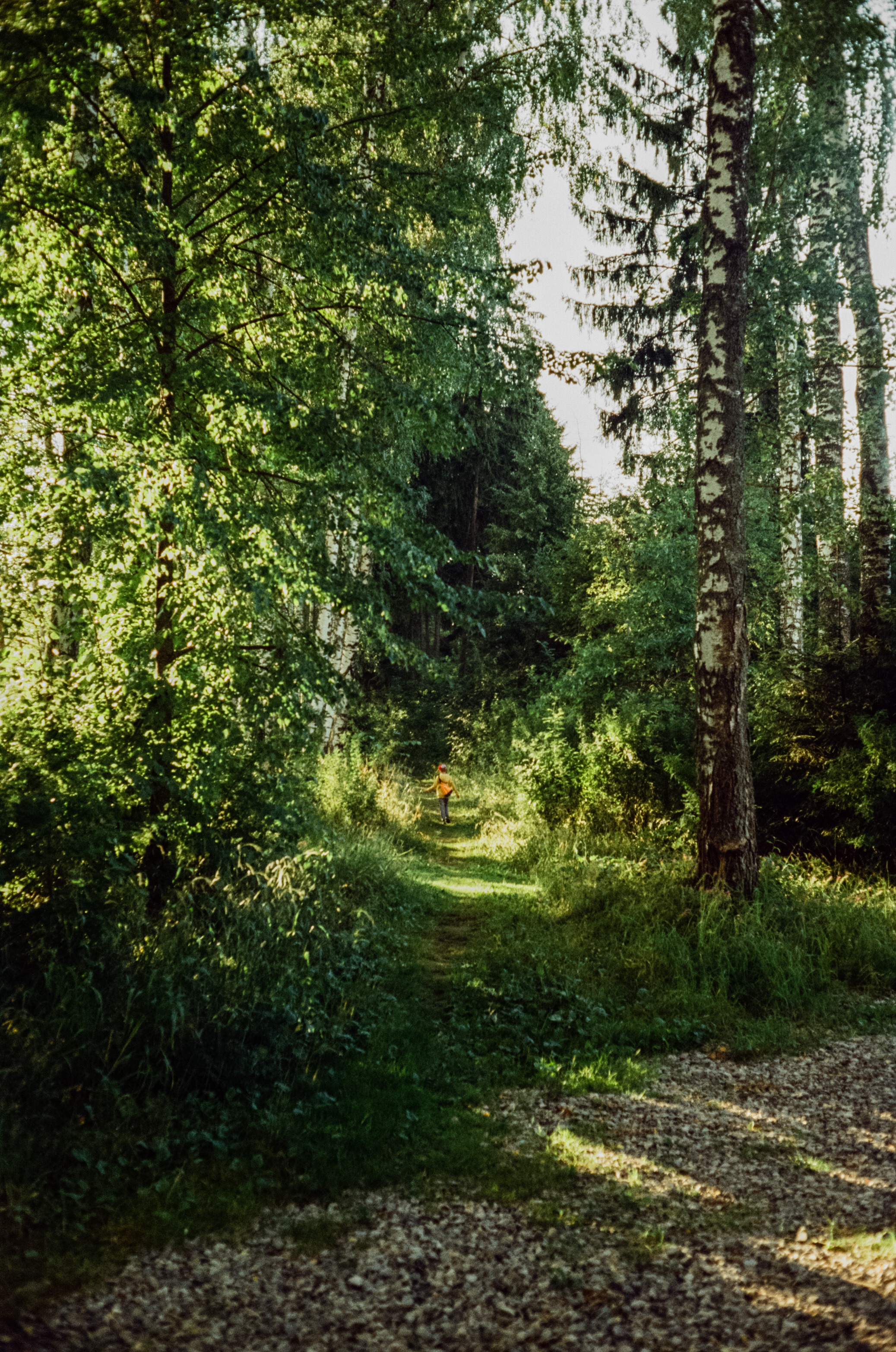 Canon Canonet QL17 G-III QL