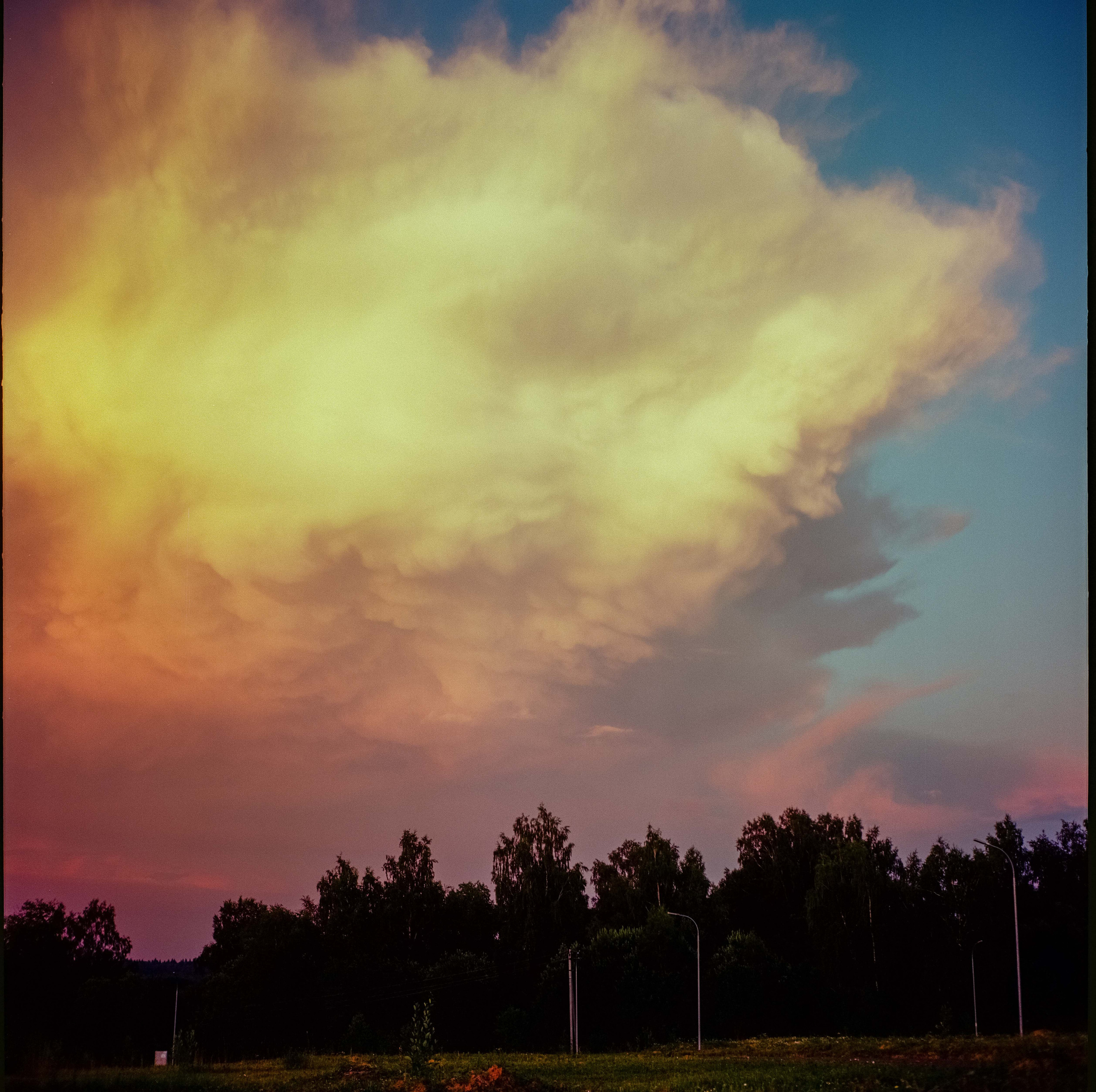 Yashica Mat-124 / Kodak Ektar 100