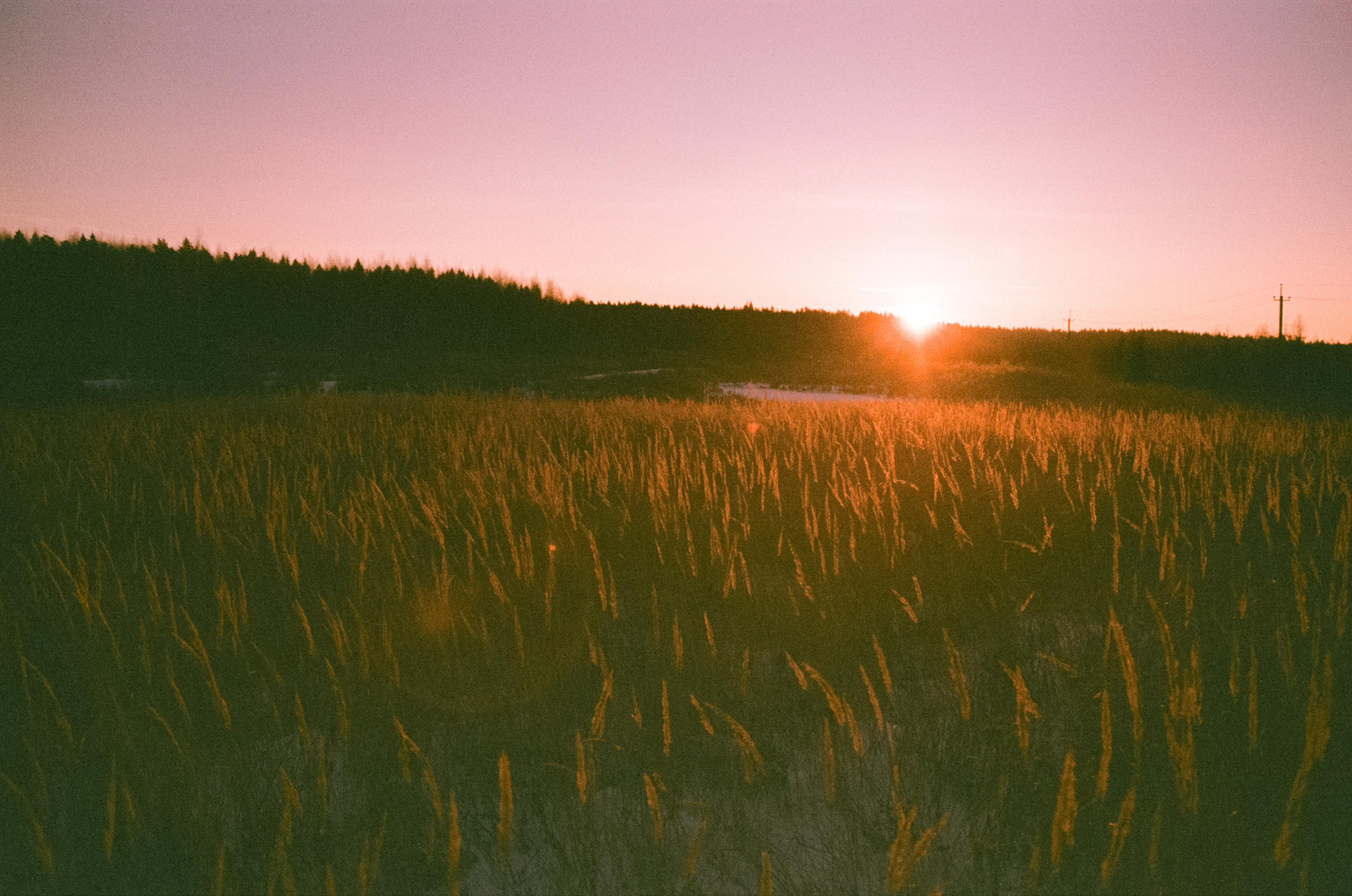 Закат на Konica Centuria Super 400