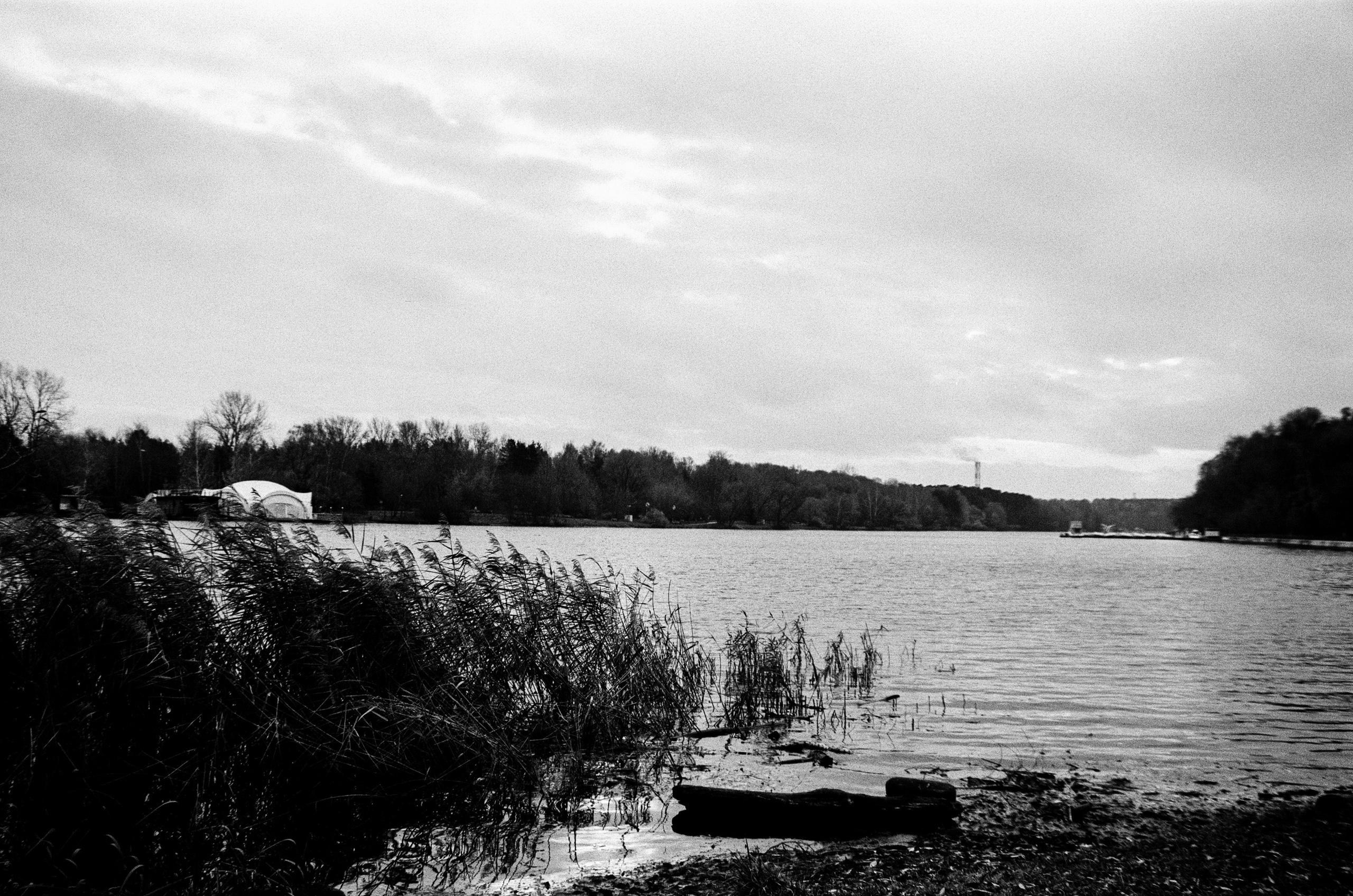 Nikon F80 — Voigtlander Ultron 28-105mm f2.8-3.8 / SFL T-42 ISO 400