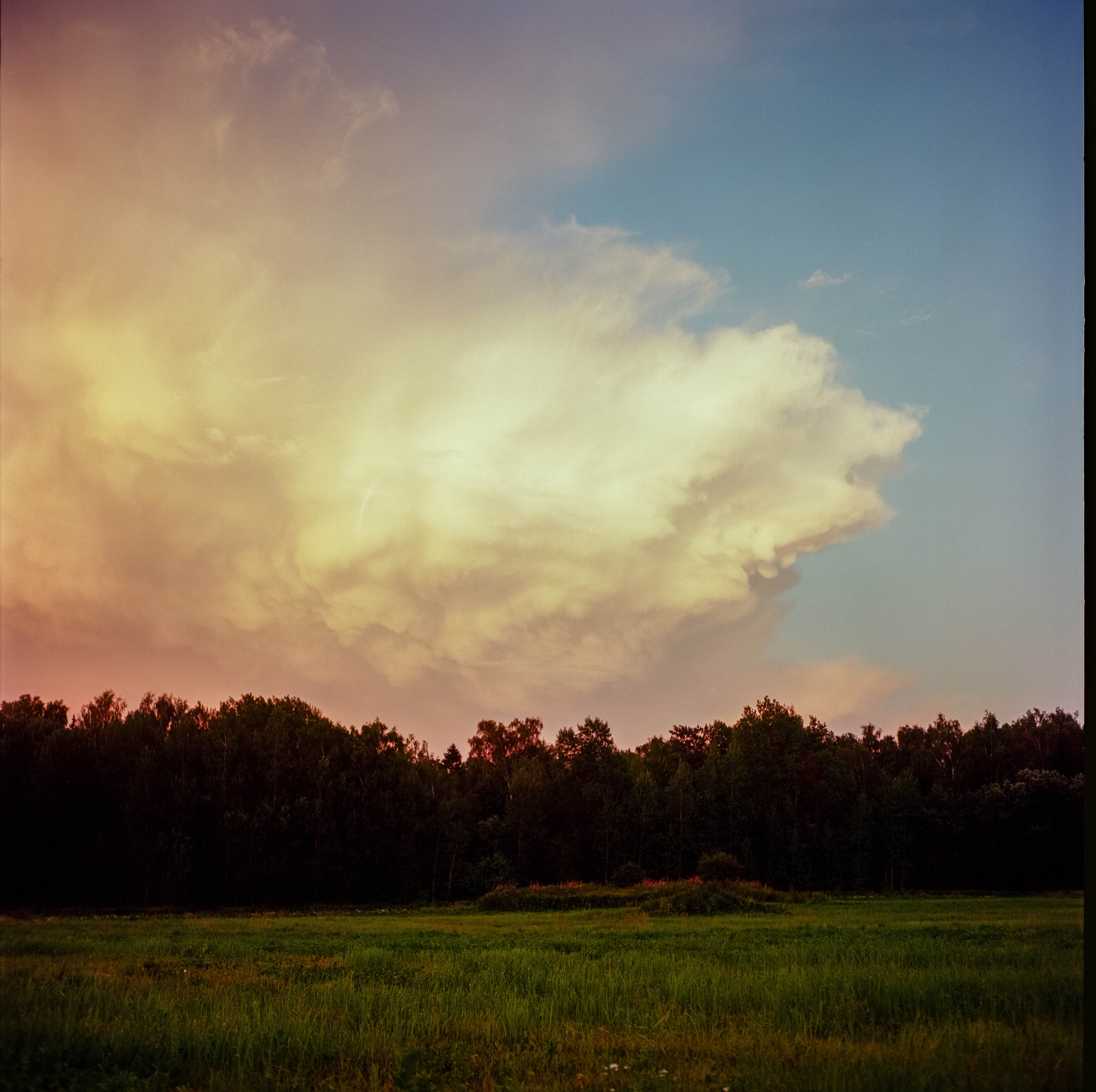 Yashica Mat-124 / Kodak Ektar 100