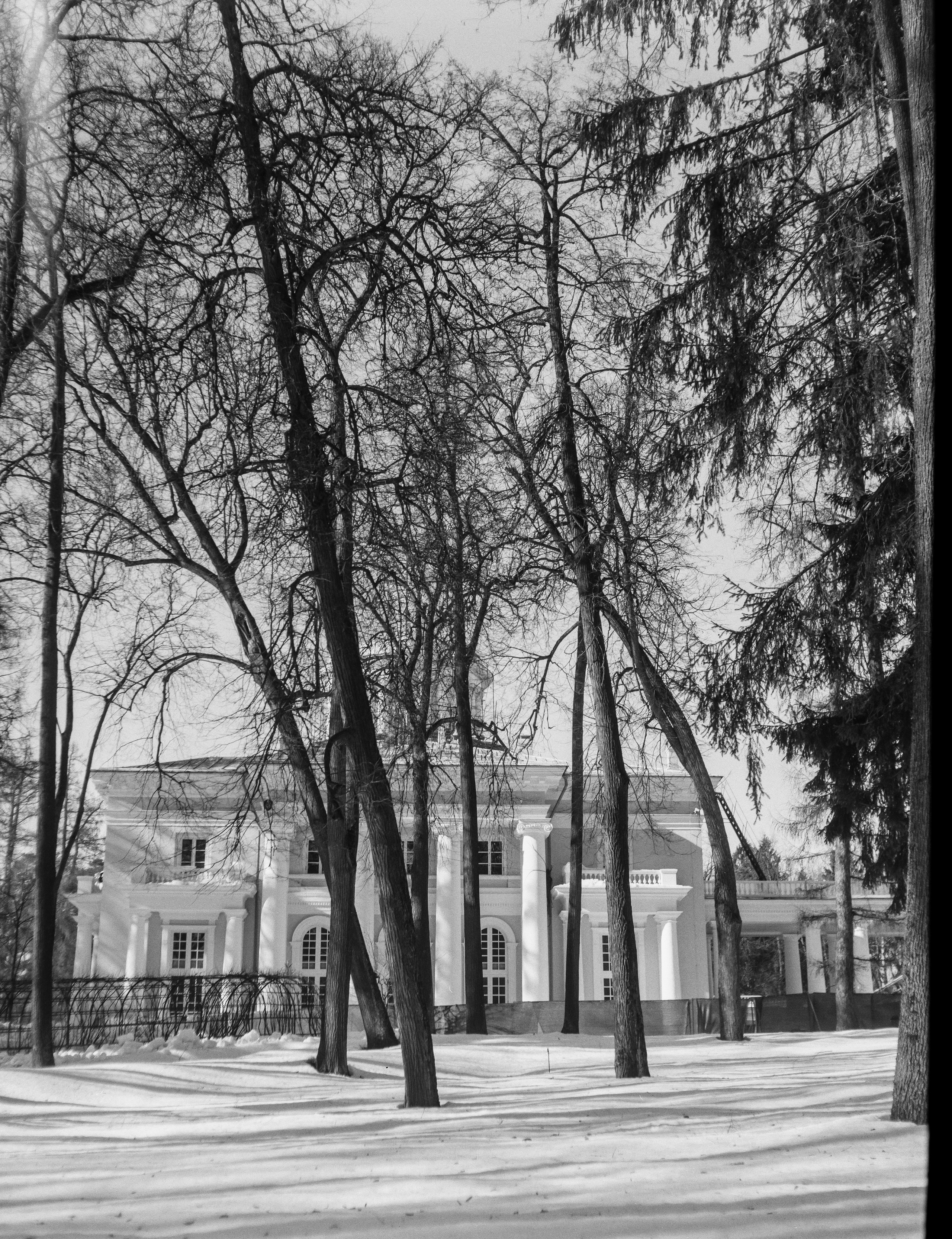 Ilford FP4 Plus ISO 125 / Zeiss Ikon Ikonta 521