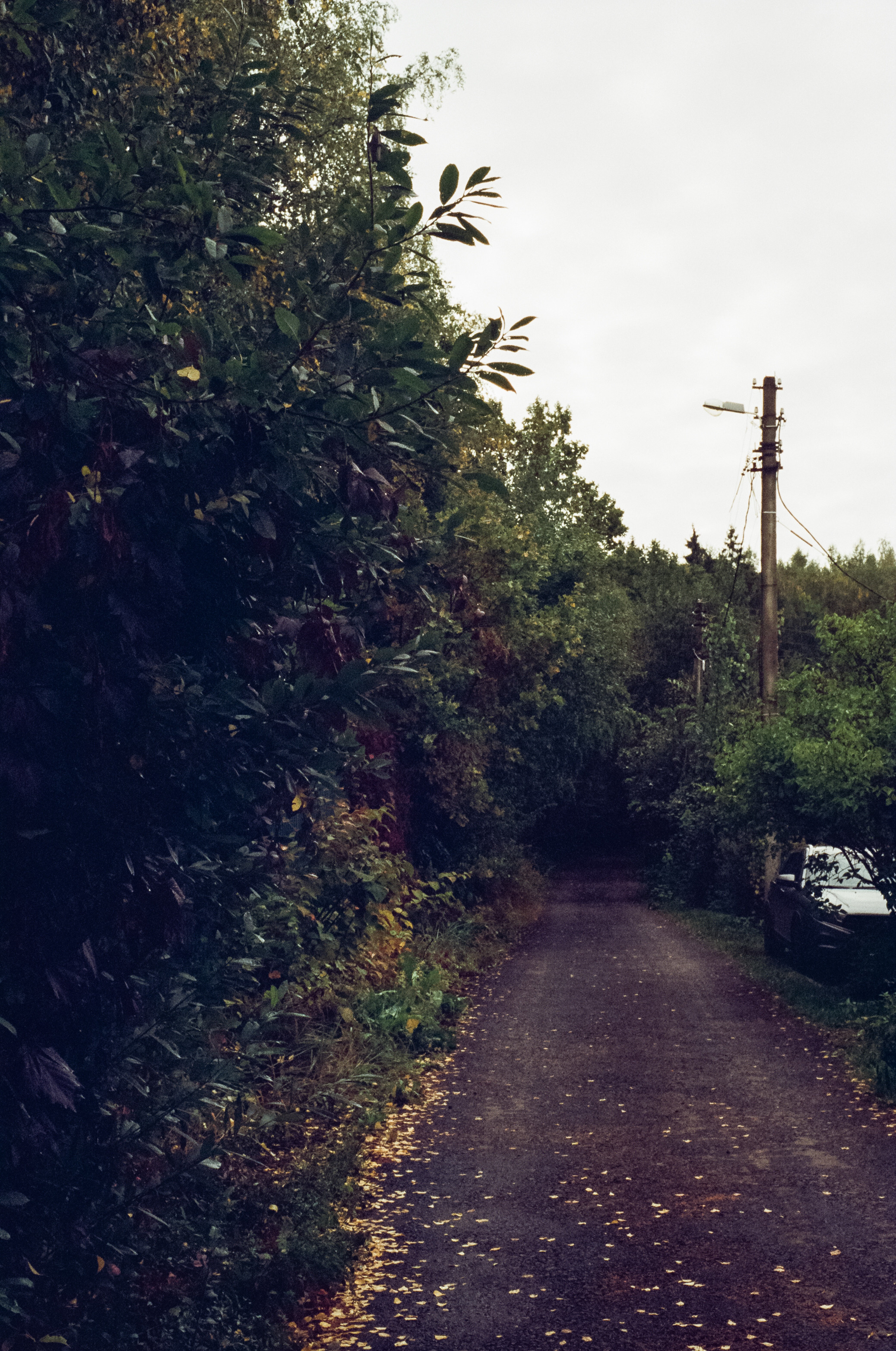 Kodak Retina IIIc — Retina Xenon C 50 mm f2.0 / Kodak Vision 3 250D