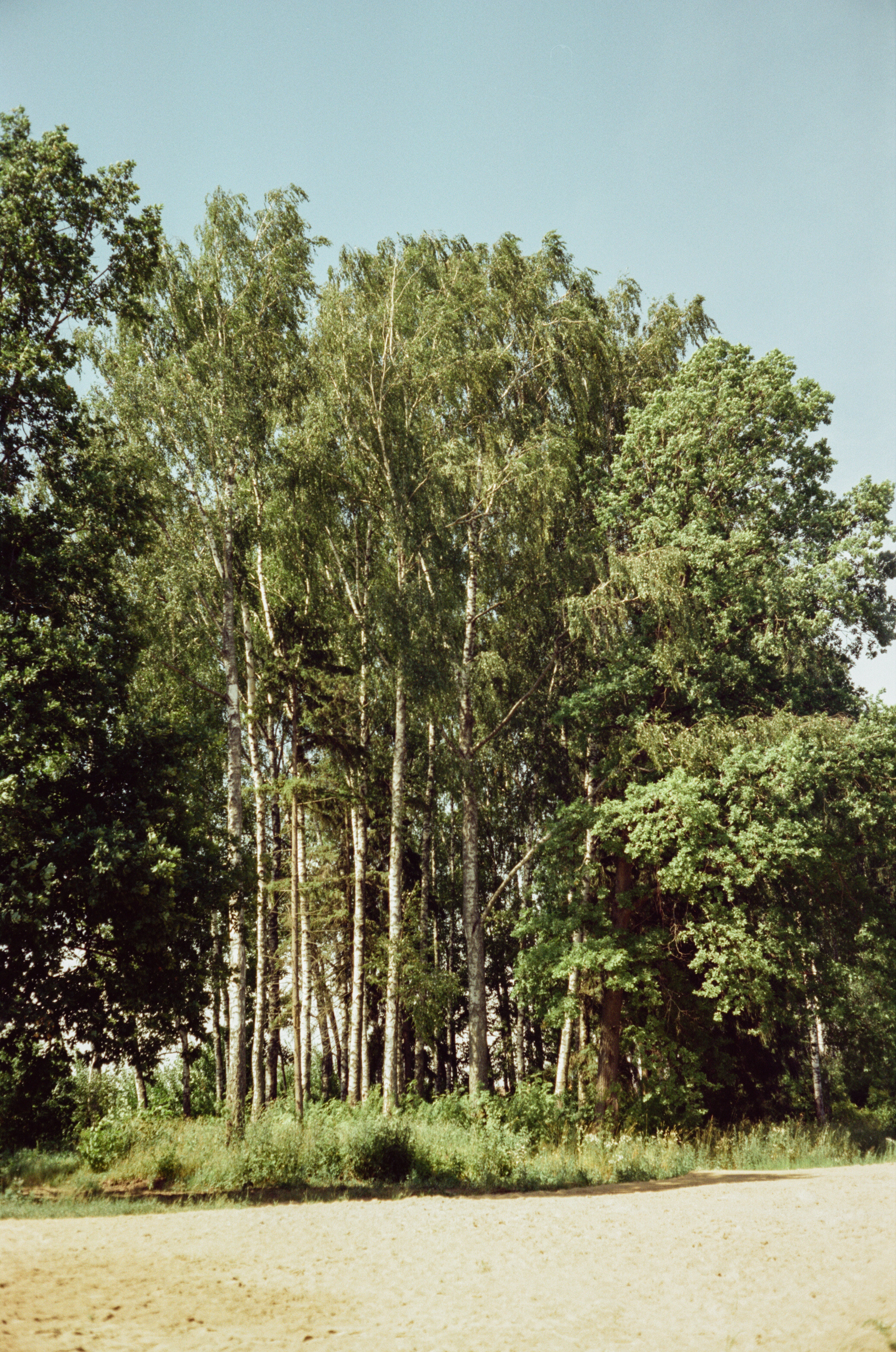 Canon Canonet QL17 G-III QL