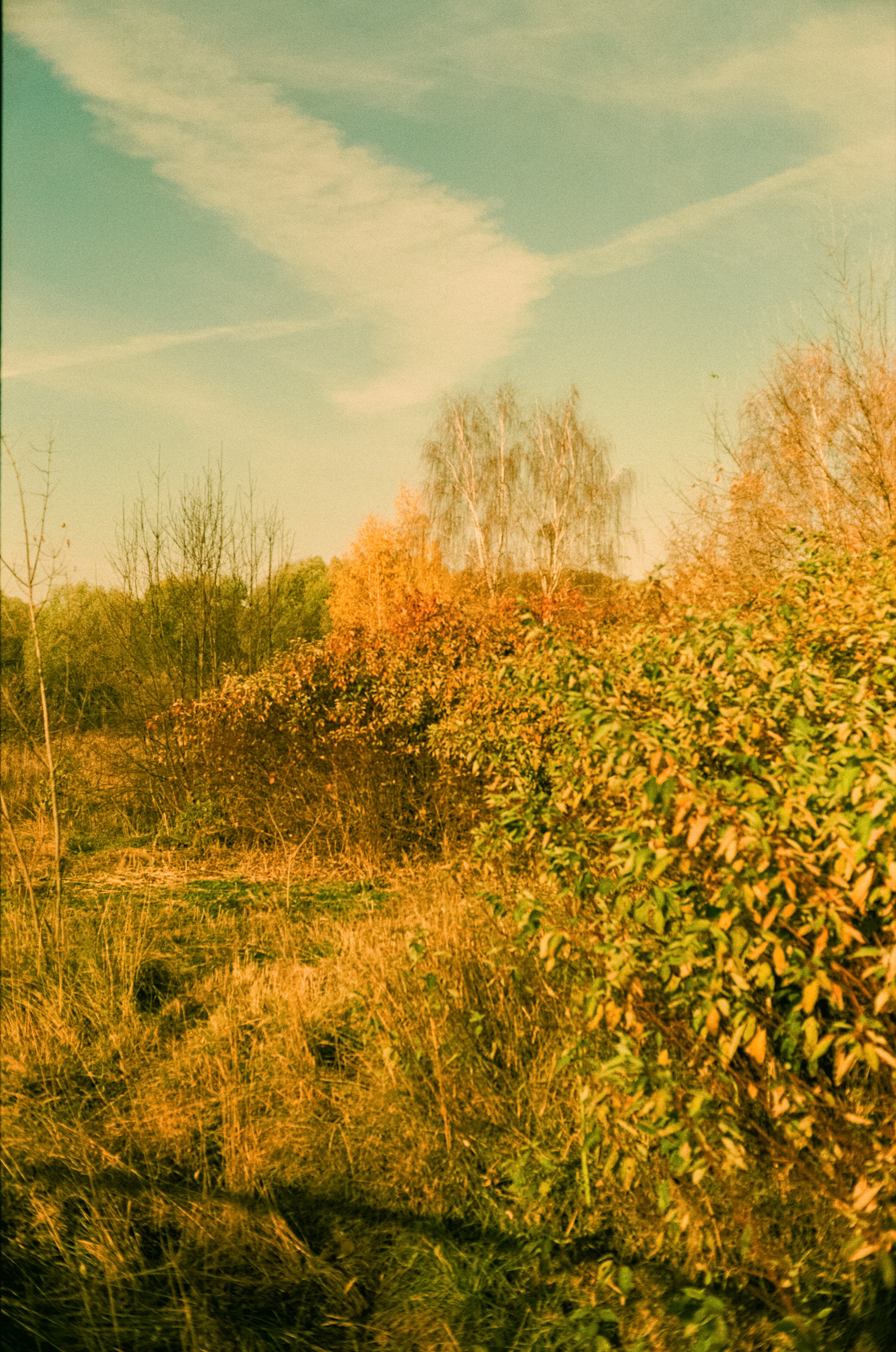 Minolta Hi-Matic 7sII review