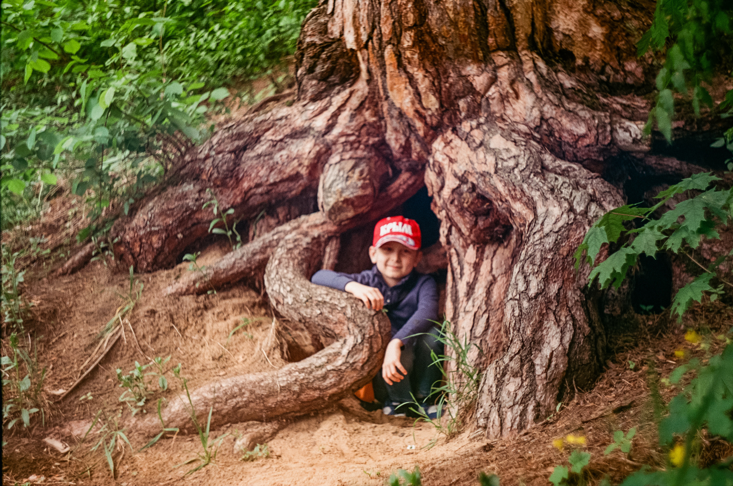 Edixa Reflex-D | Carl Zeiss Jena Biotar 58 mm f2.0 | SFA A-color 125