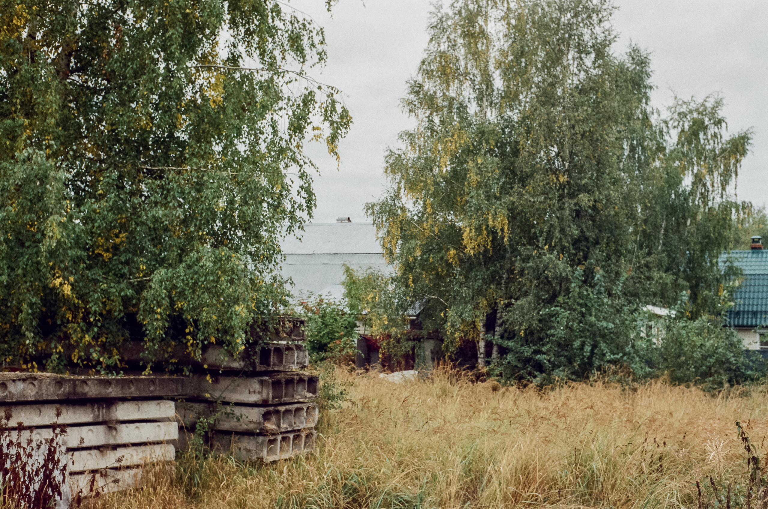 Kodak Retina IIIc — Retina Xenon C 50 mm f2.0 / Kodak Vision 3 250D