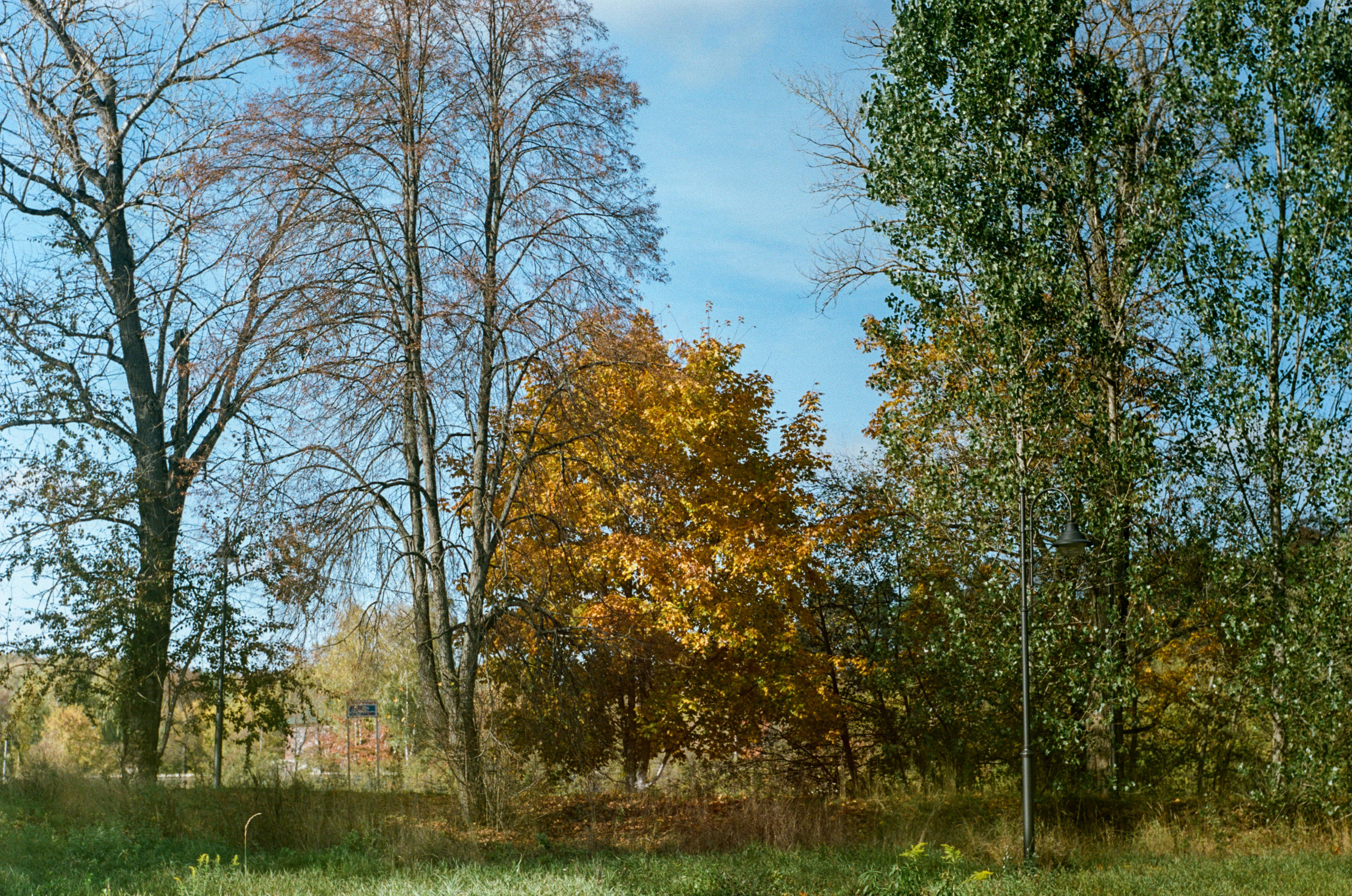 Enna Munchen Ennalyt 50mm f1.9 примеры фотографий