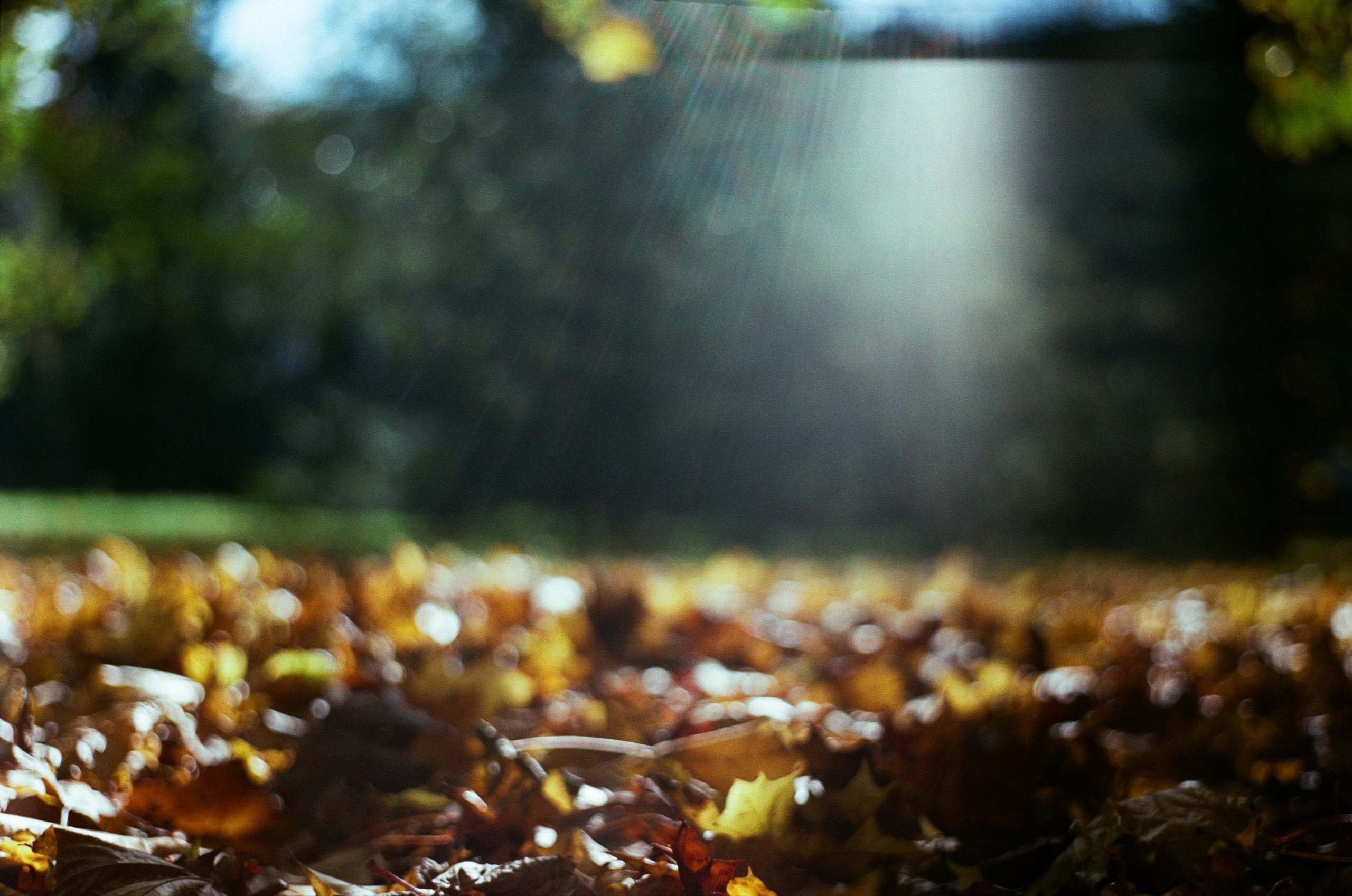 Enna Munchen Ennalyt 50mm f1.9 review