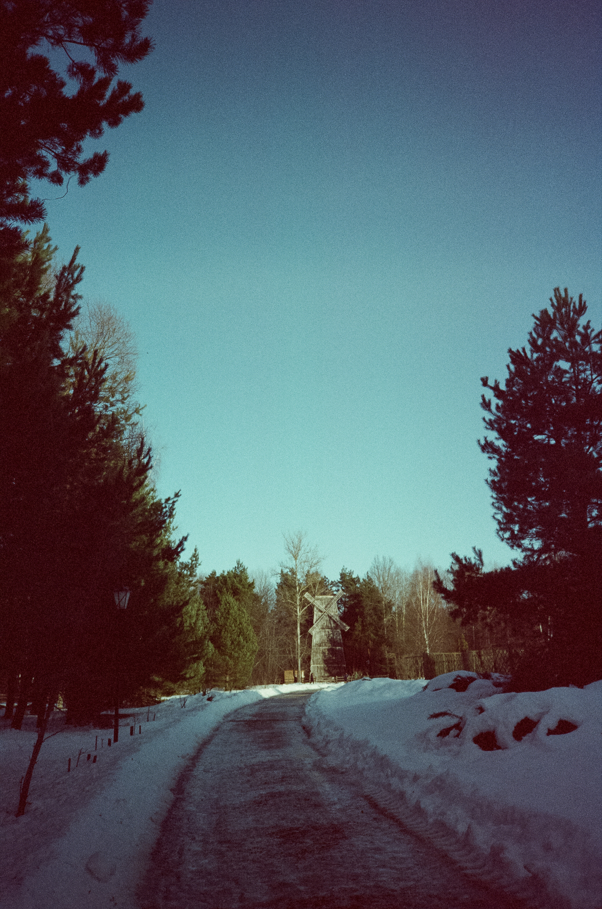 Примеры фотографий на Fuji DL-300 (Поленово)