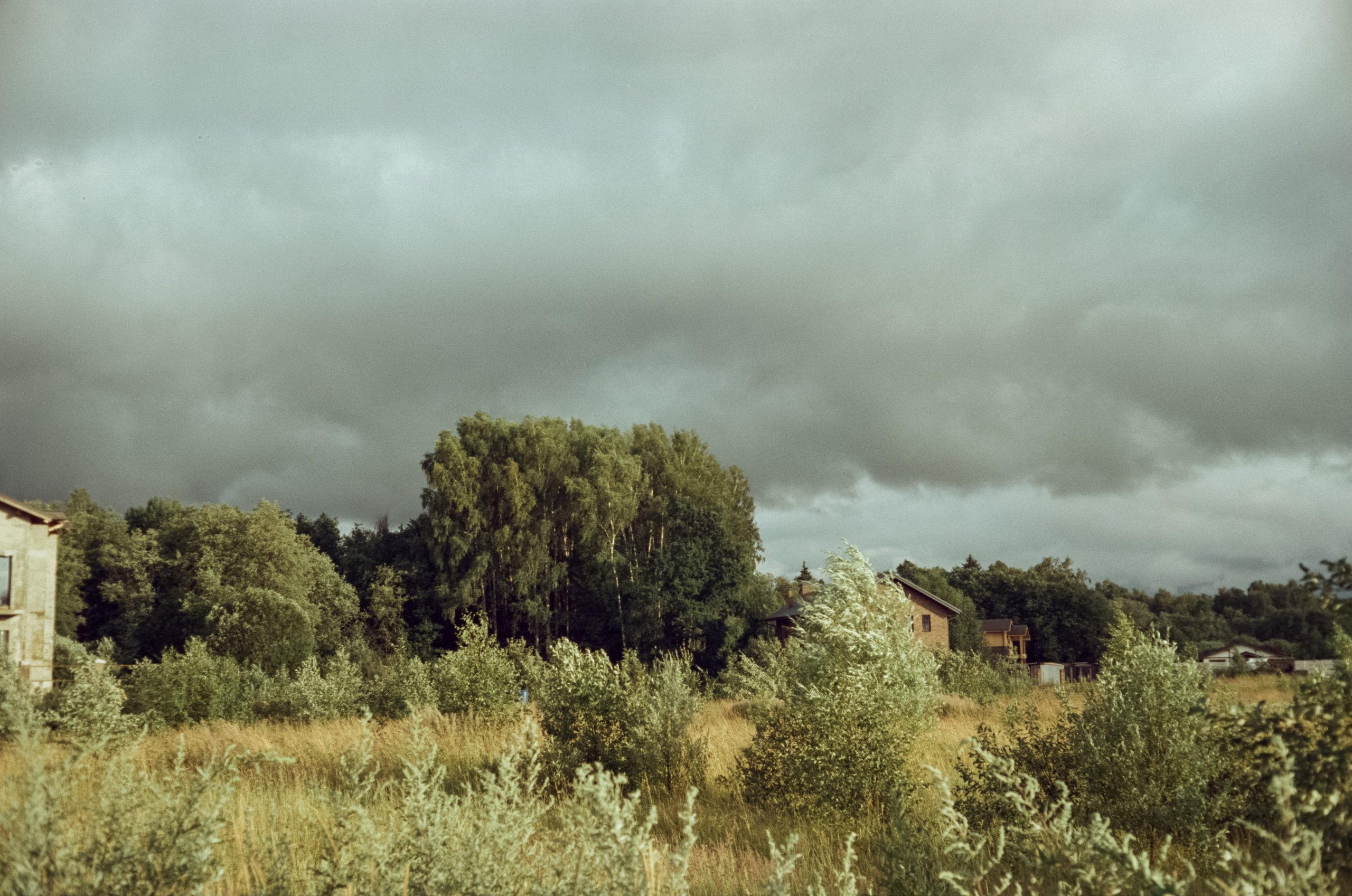 Canon Canonet QL17 G-III QL