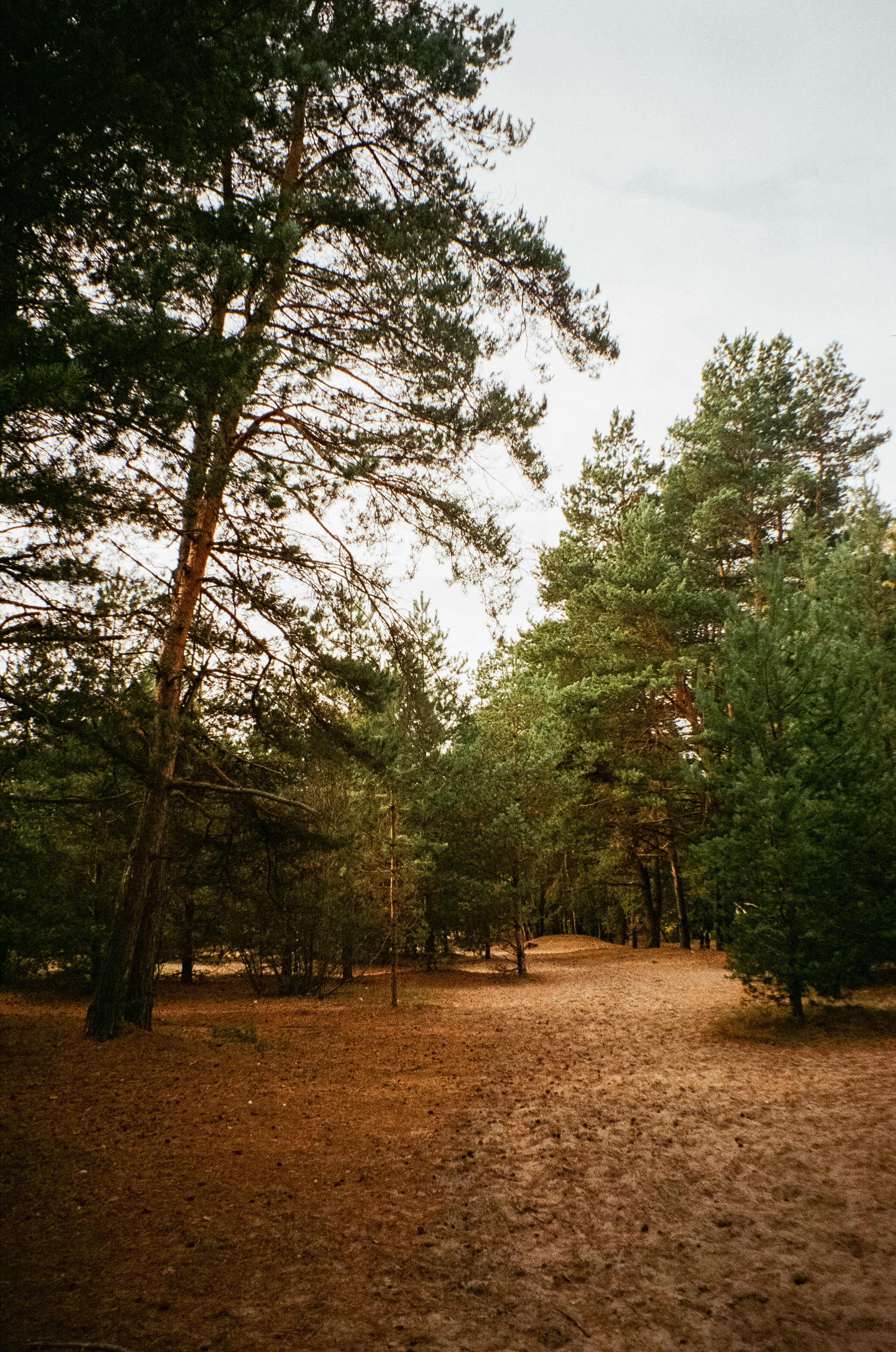 Осень на Kodak Gold 200