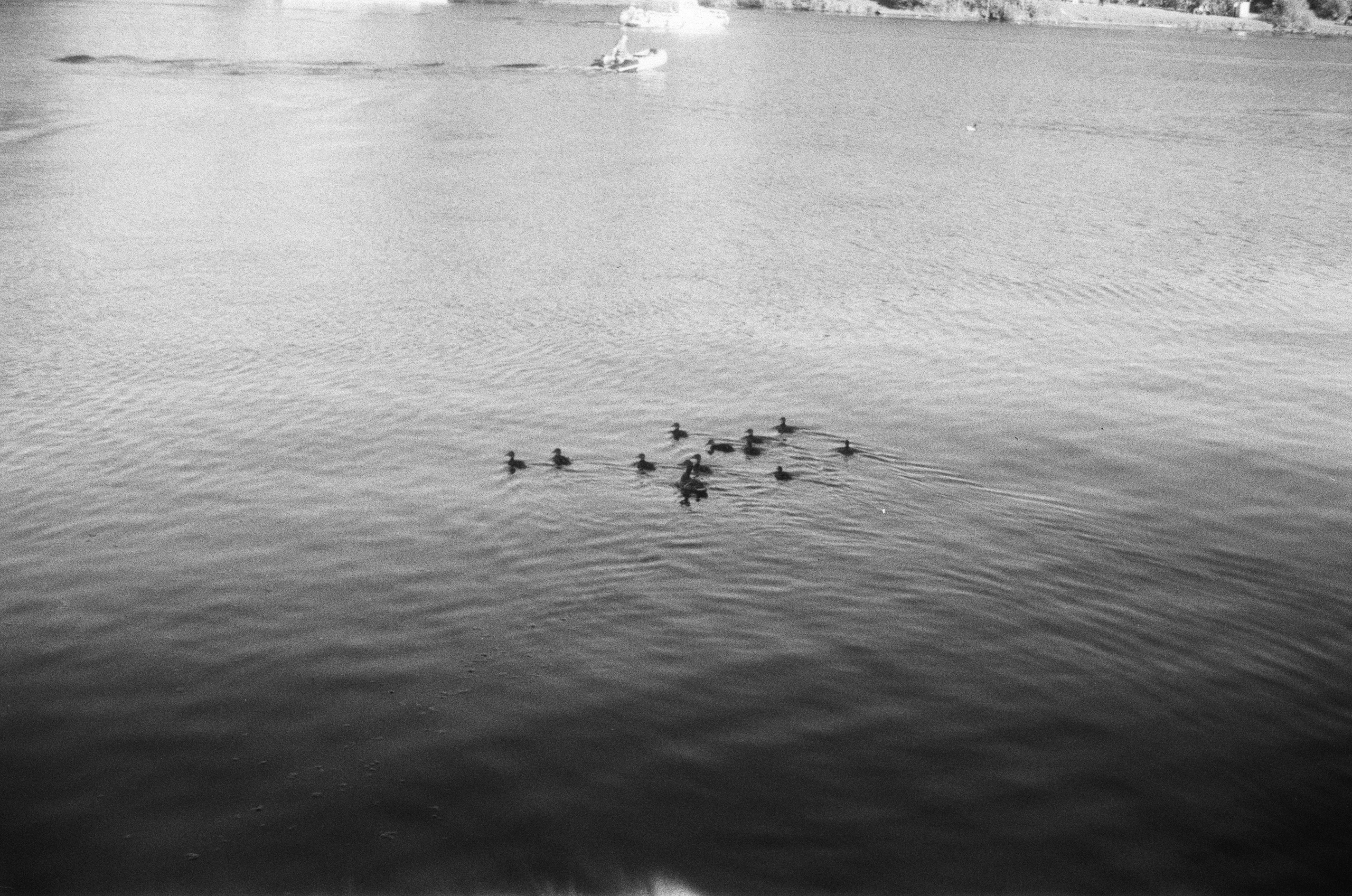 Braun Paxette примеры фотографий