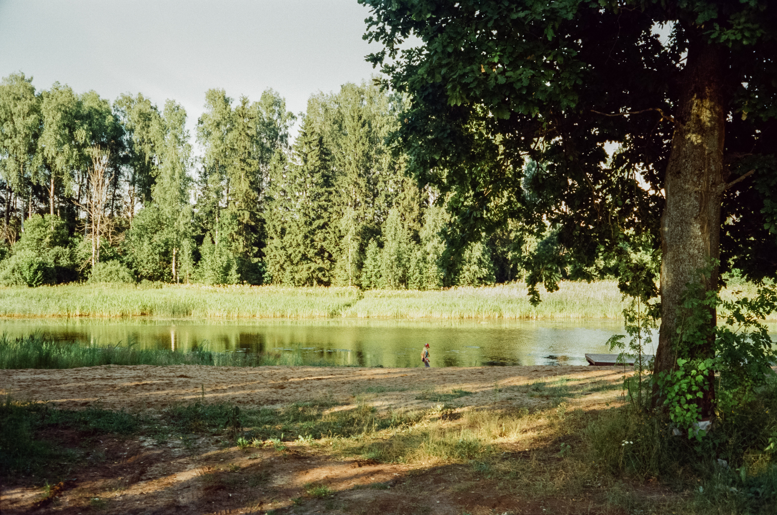 Canon Canonet QL17 G-III QL