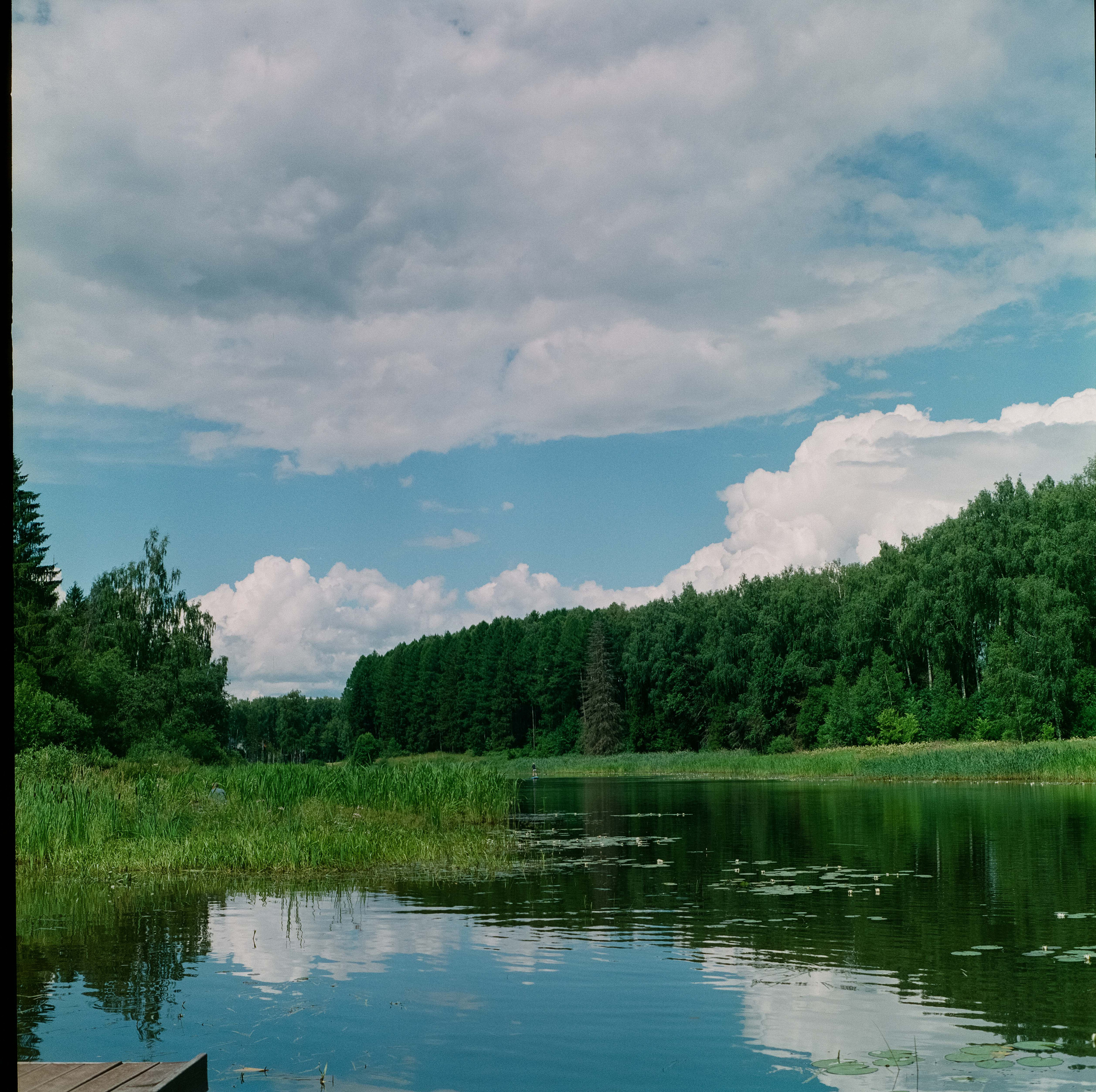 Fujifilm pro 400h / Yashica Mat-124