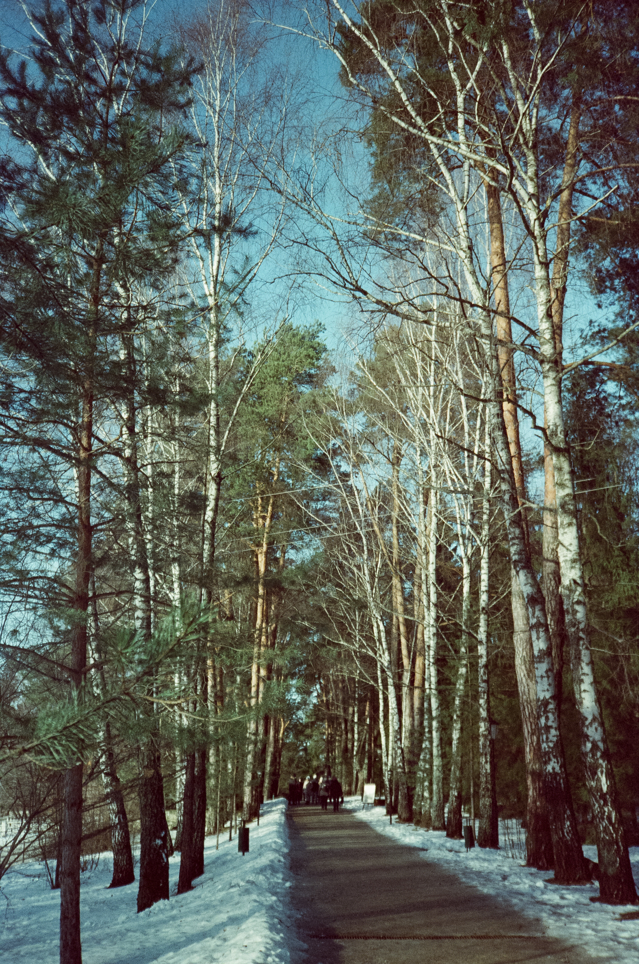 Примеры фотографий на Fuji DL-300 (Поленово)