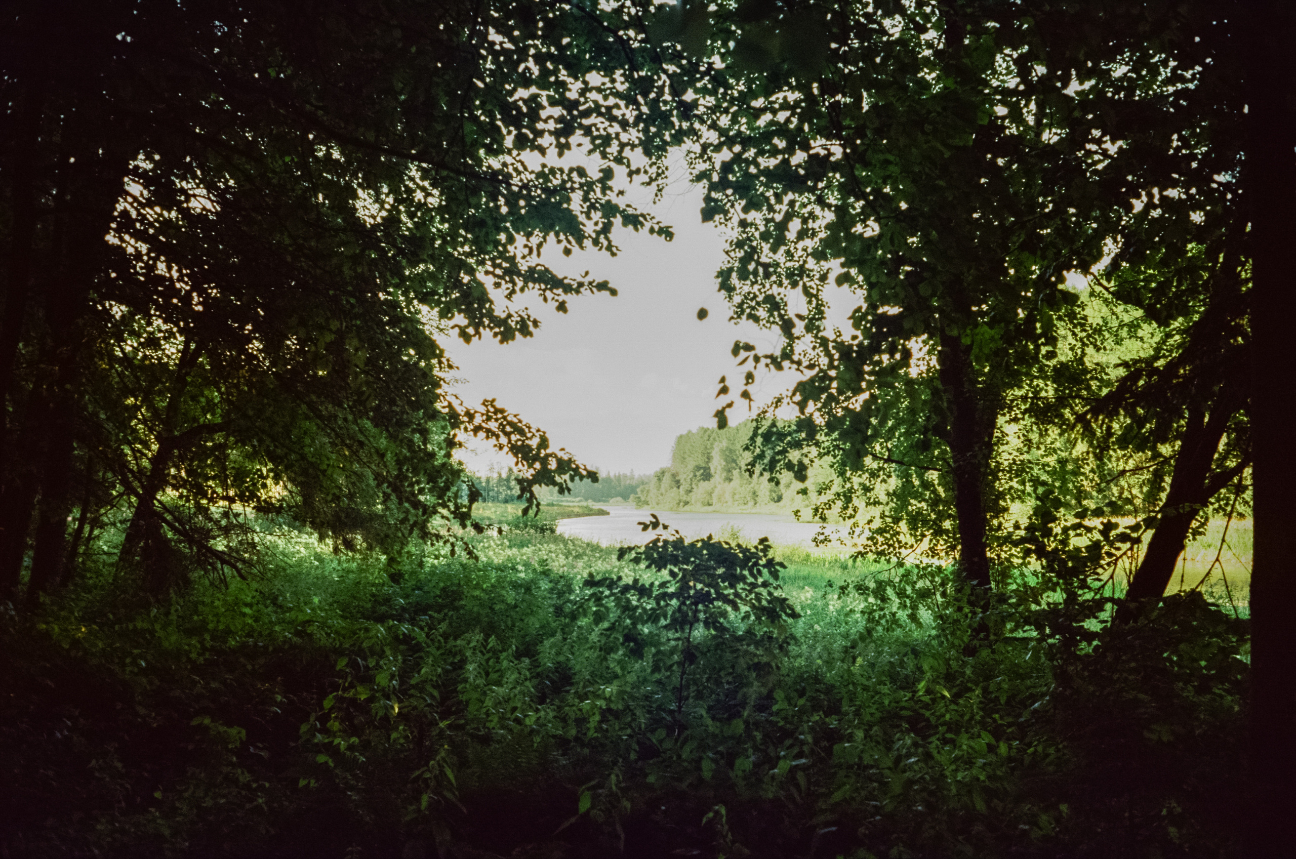 Canon Canonet QL17 G-III QL