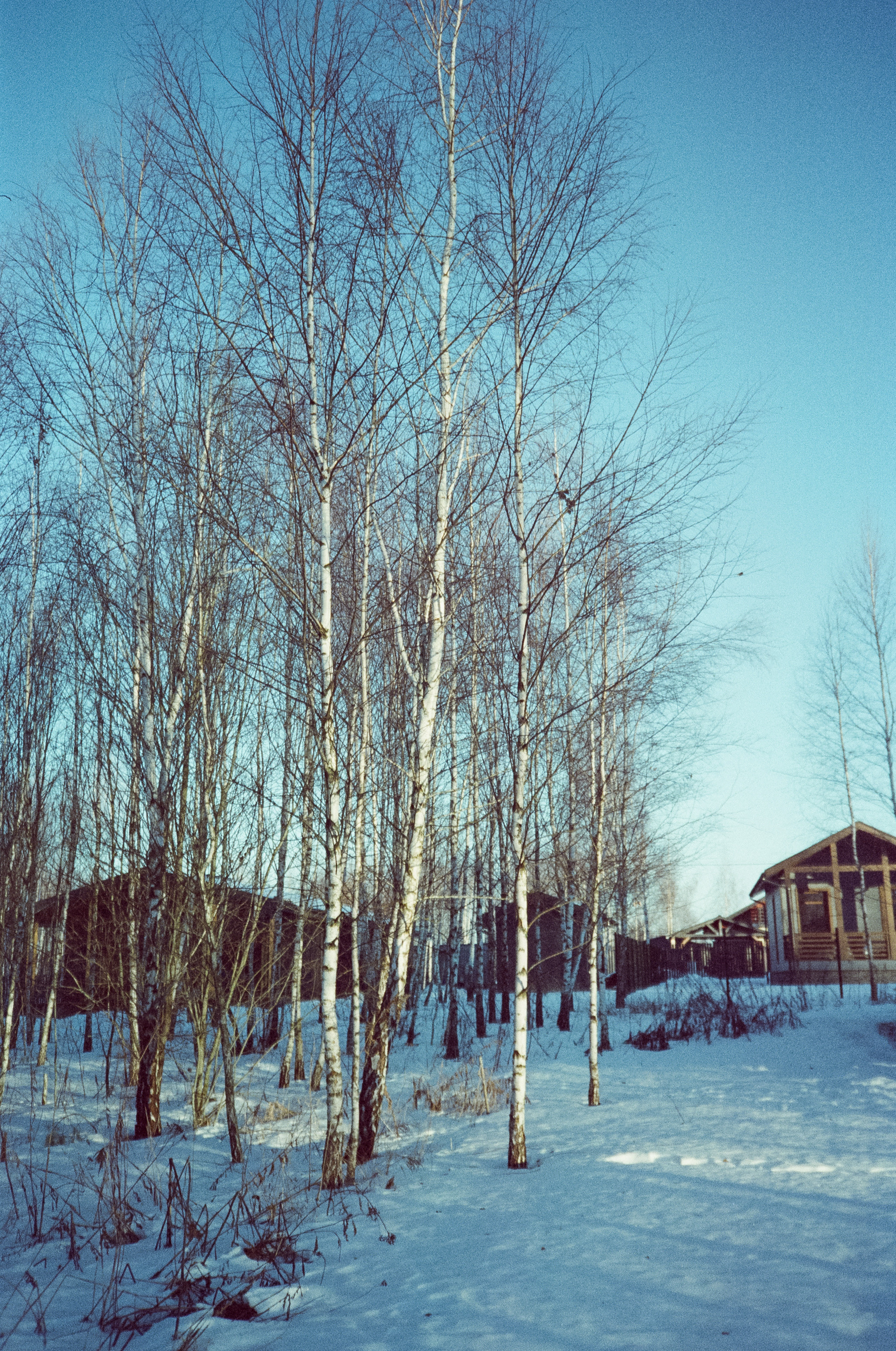 Hygge Dacha Велегож Парк на Fuji DL-300