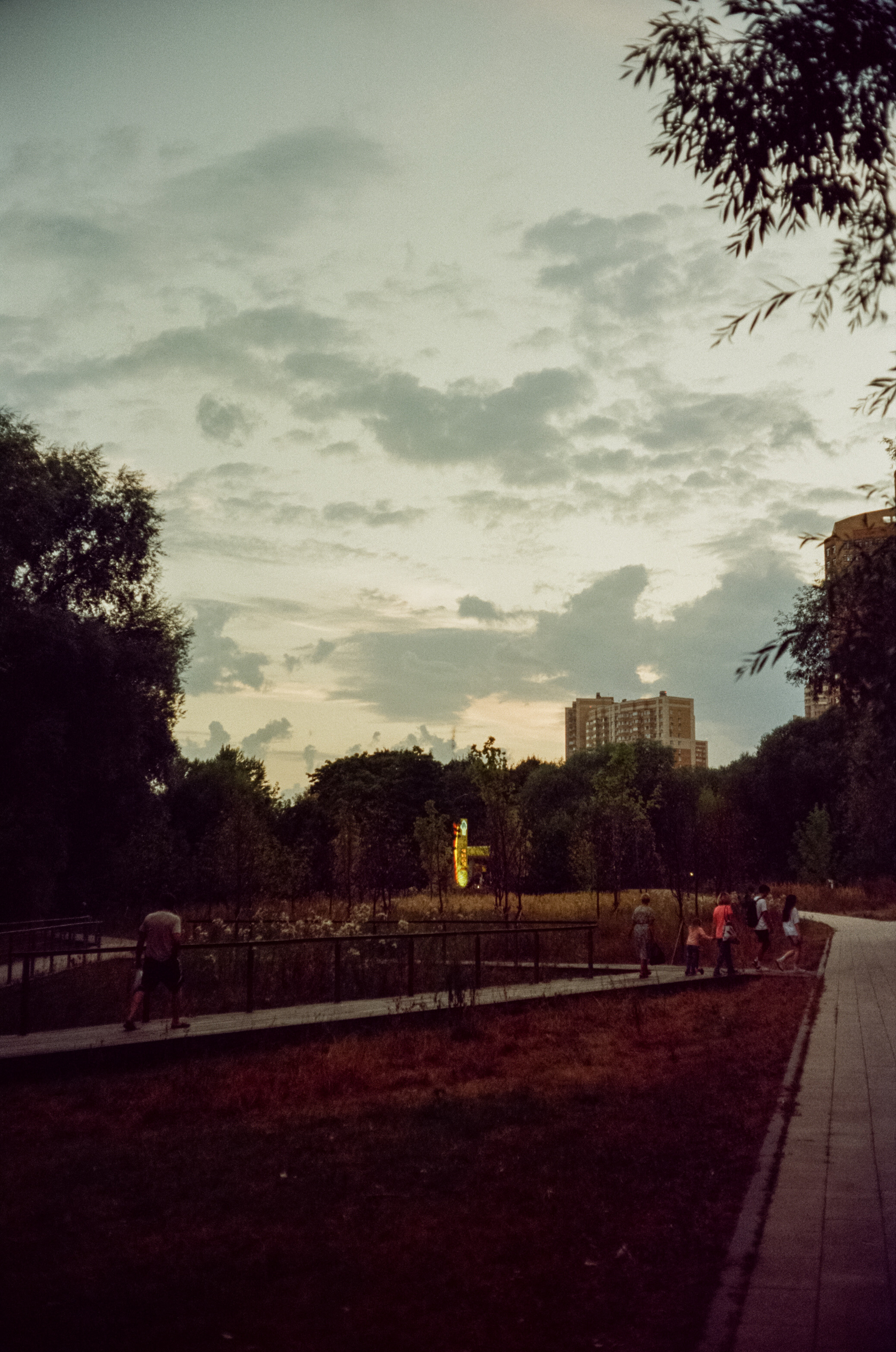 Canon Canonet QL17 G-III QL / Kodak Vision 3 250D