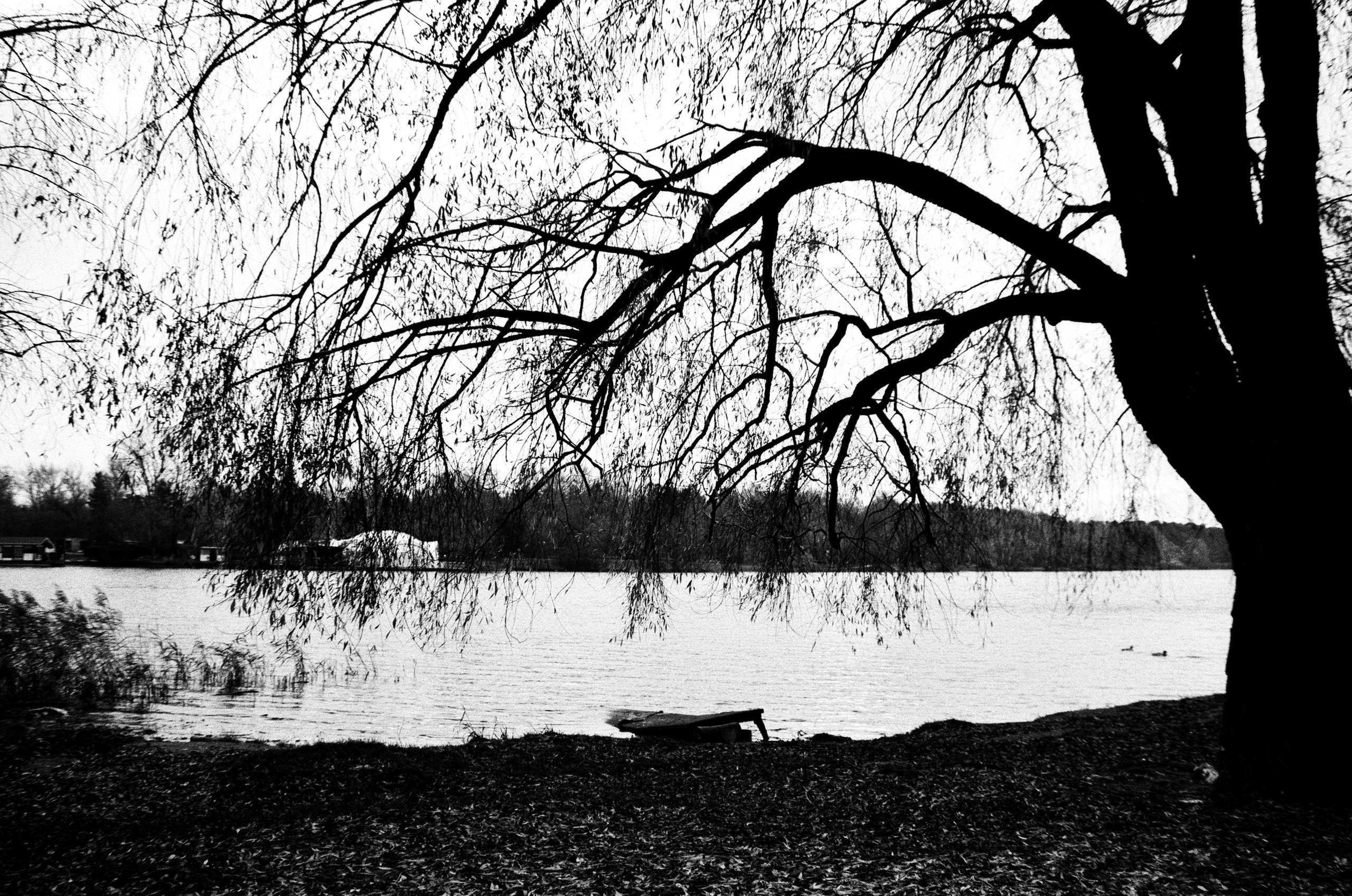 Nikon F80 — Voigtlander Ultron 28-105mm f2.8-3.8 / SFL T-42 ISO 400