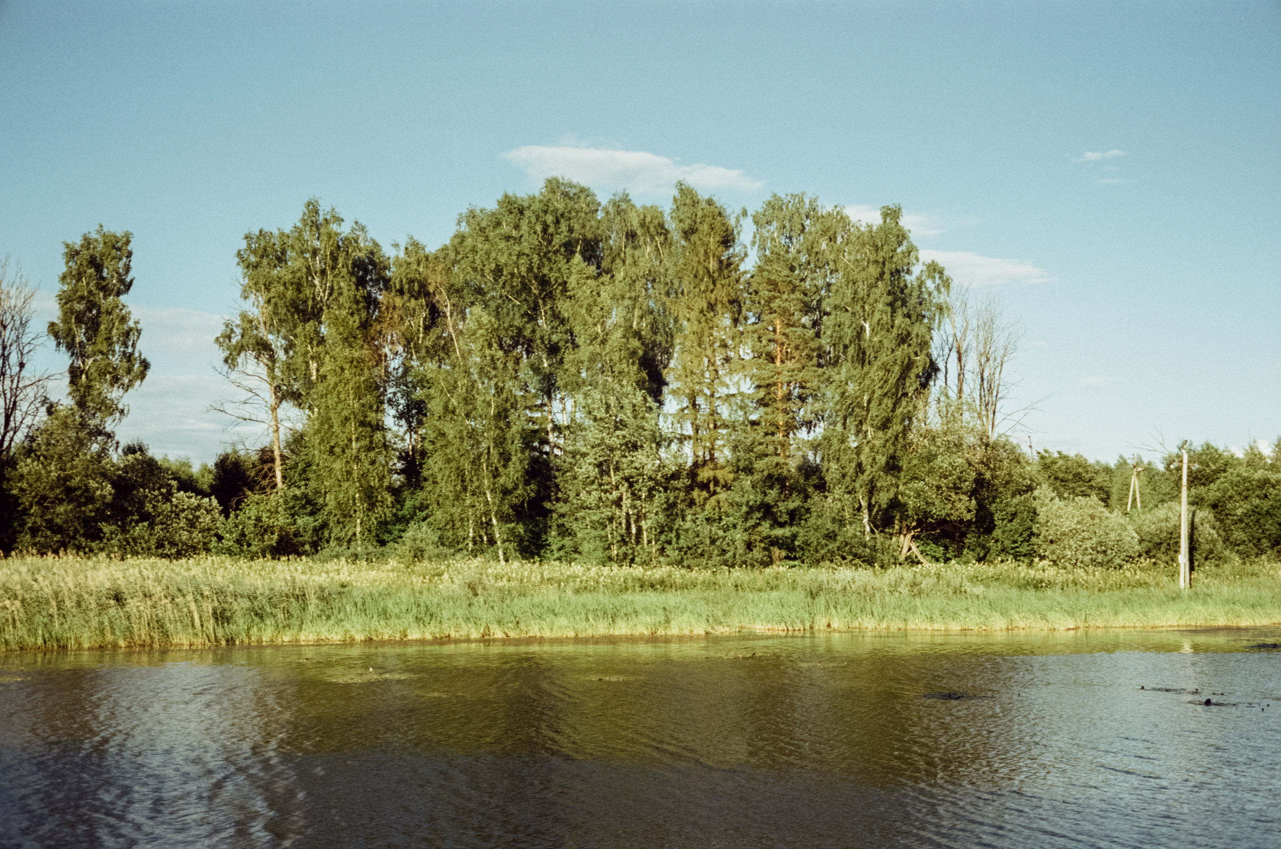 Canon Canonet QL17 G-III QL