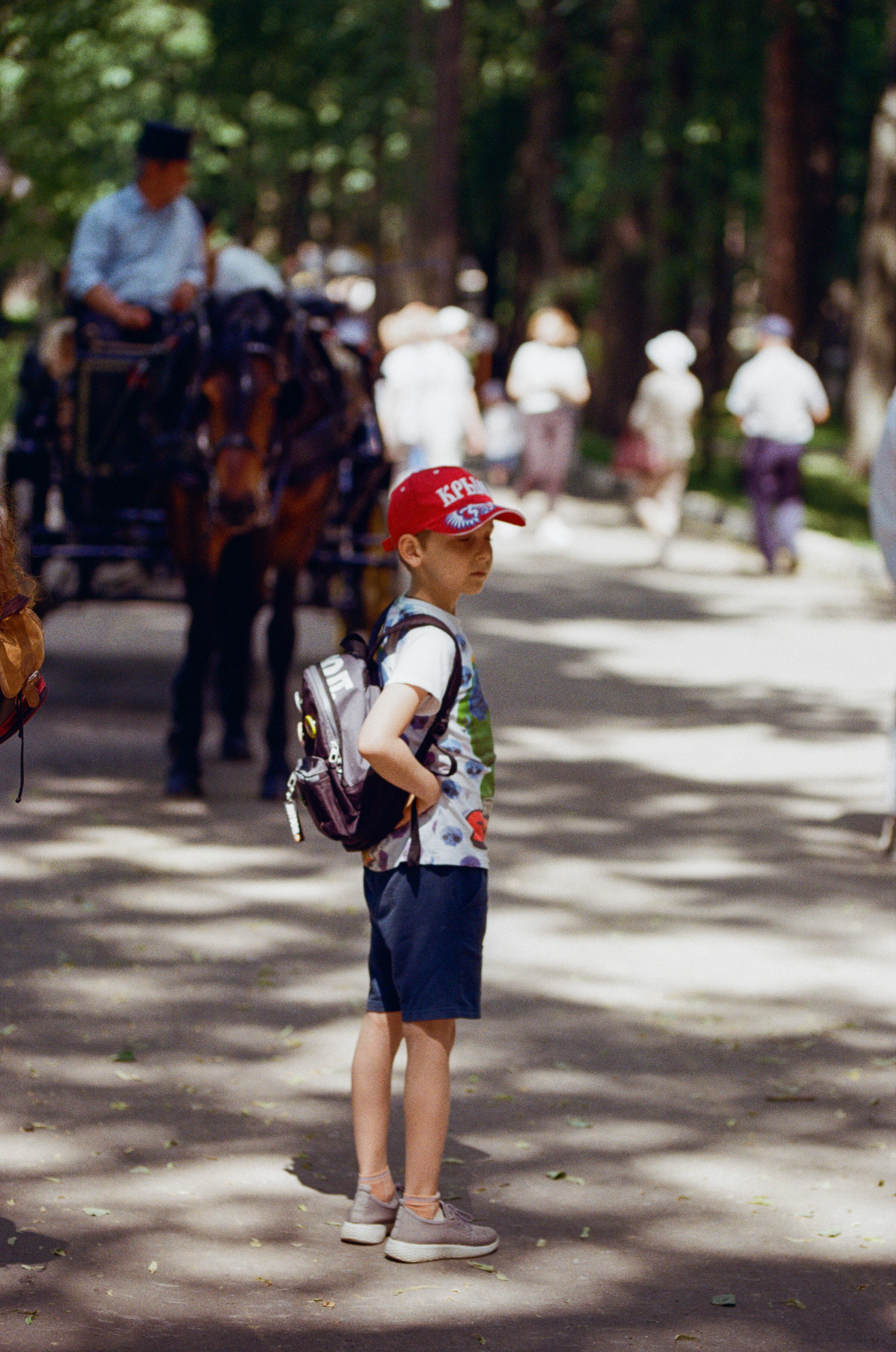 Carl Zeiss Makro-Sonnar 100mm f2.8