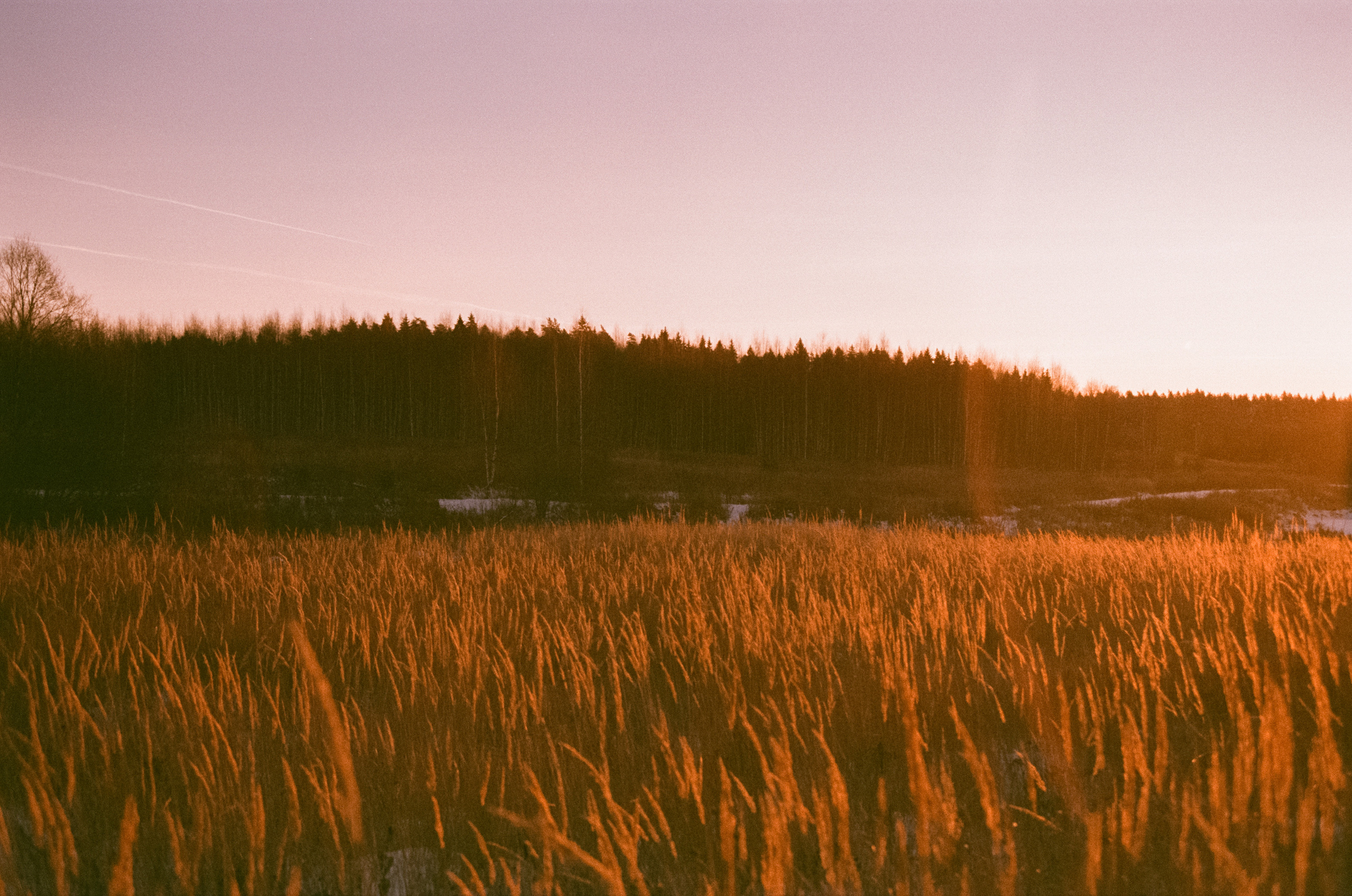 Закат на Konica Centuria Super 400