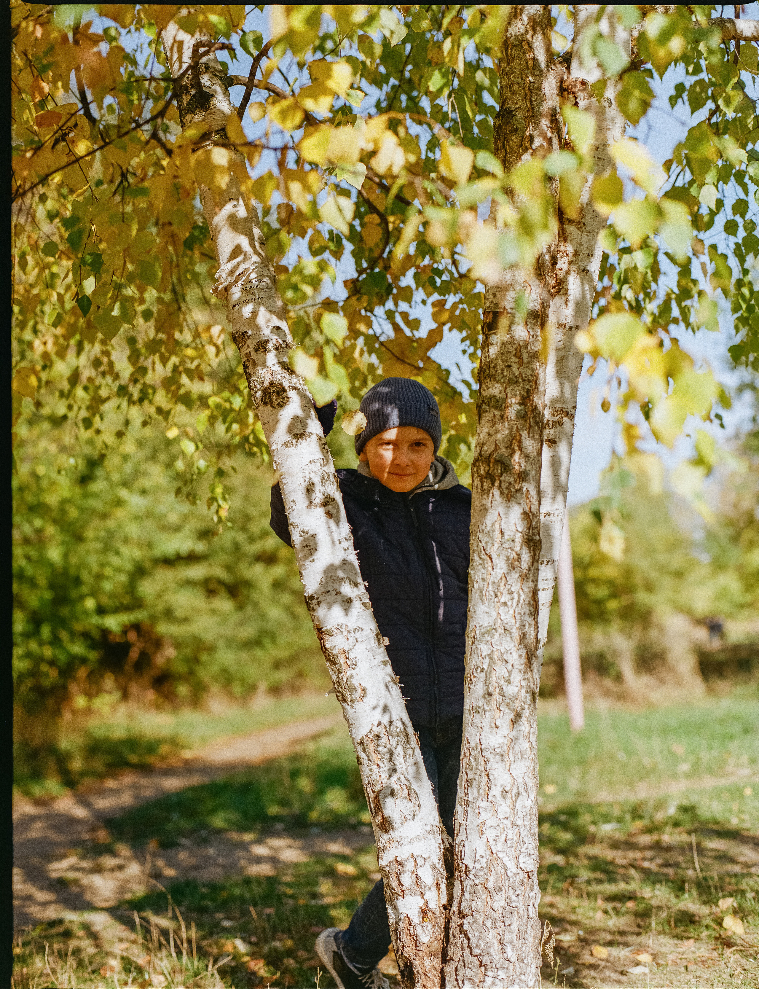 Mamiya-Sekor C 80mm f1.9