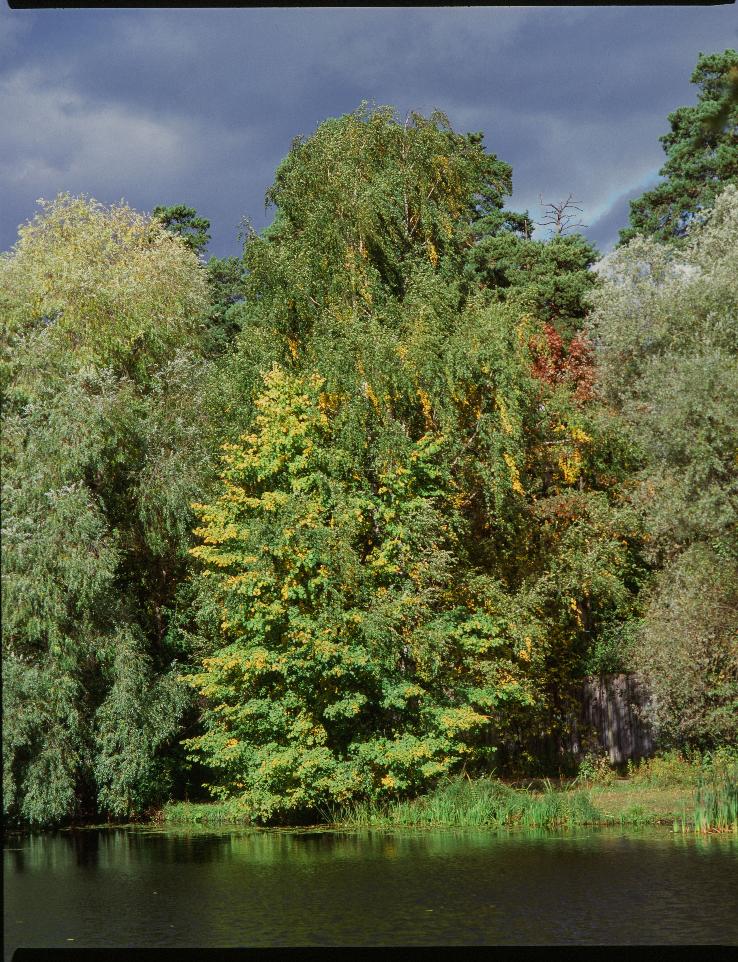 Zenza Bronica ETR — Zenzanon 150 f3.5 / Fujichrome Velvia 100