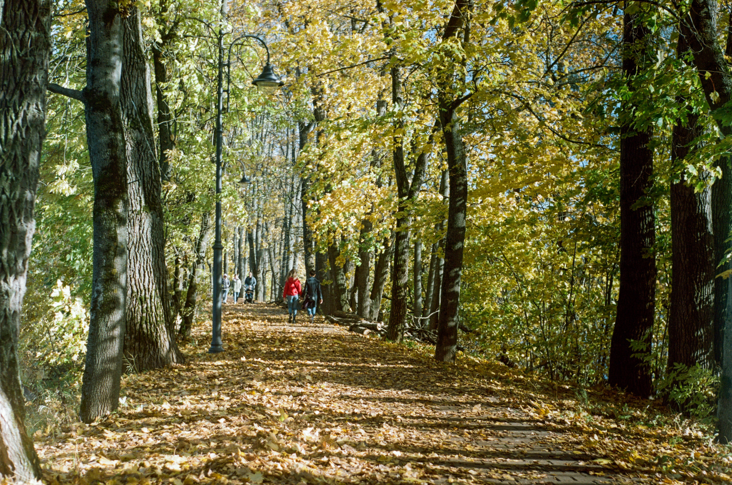 Edixa Reflex-D примеры фотографий