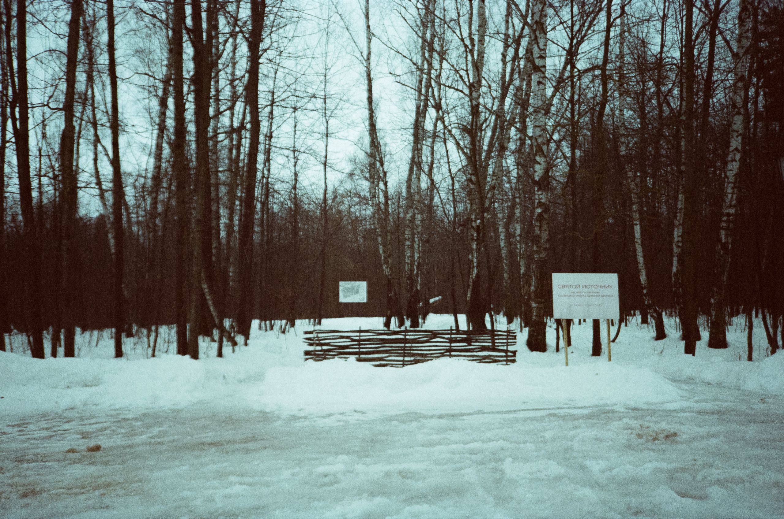 Примеры фотографий на Fuji DL-300 (Поленово)