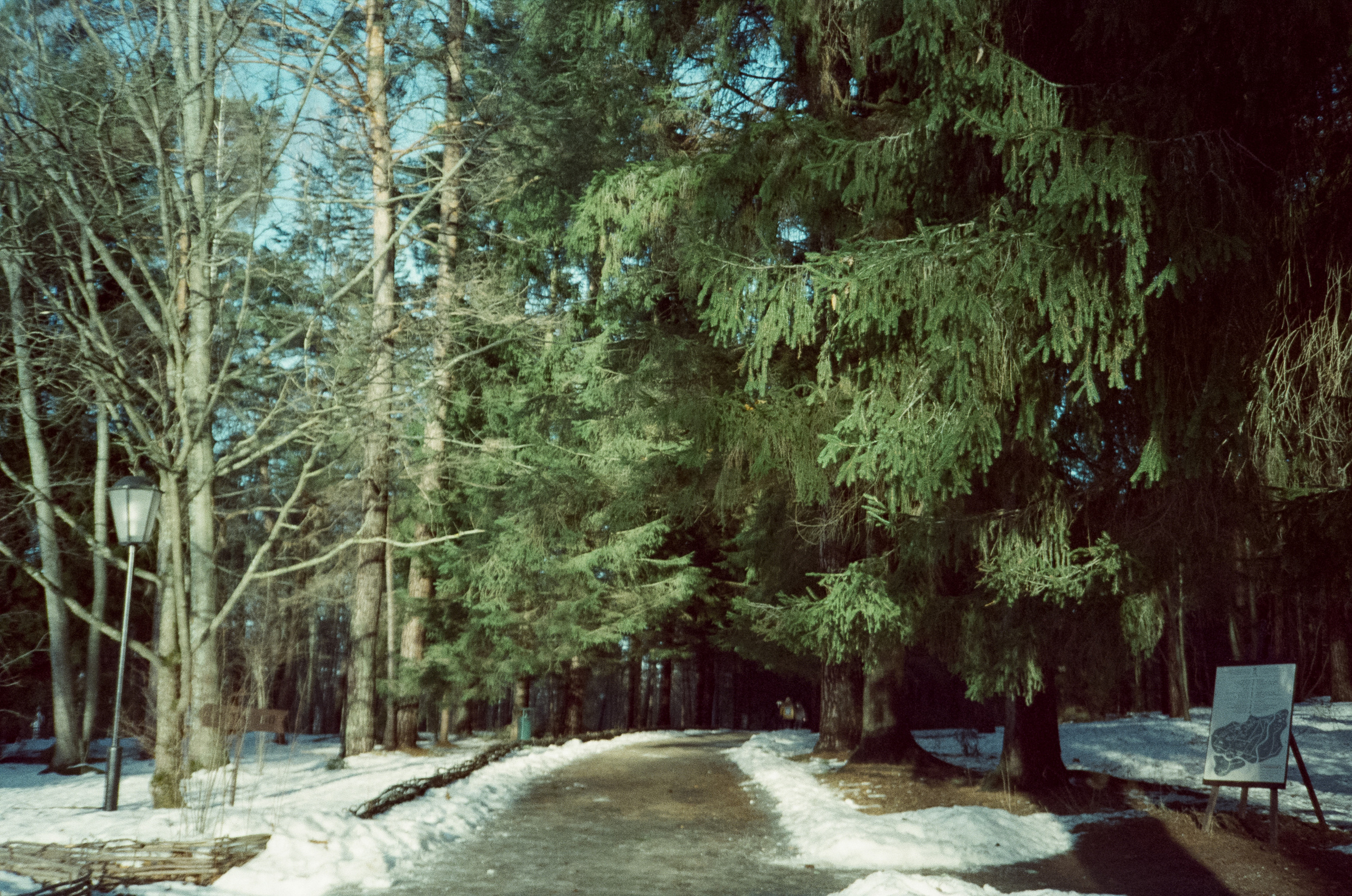 Примеры фотографий на Fuji DL-300 (Поленово)