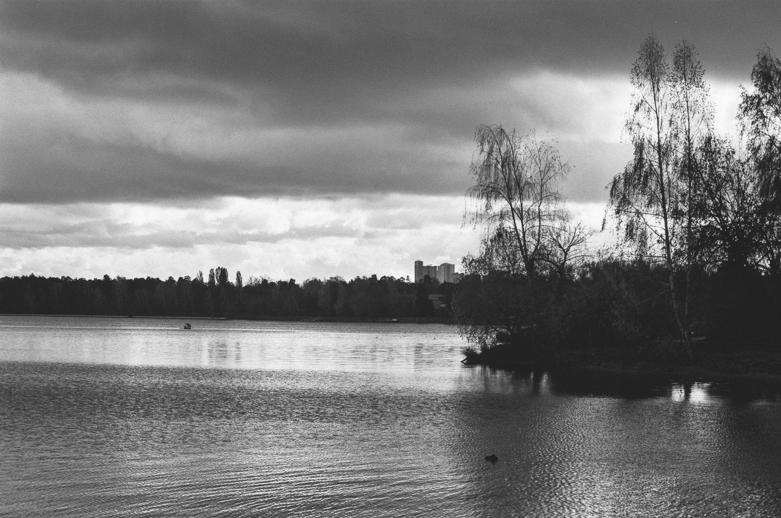 Cosina 55 mm f1.2 — Ricoh XR-10M / Тасма Тип-42 ISO 100