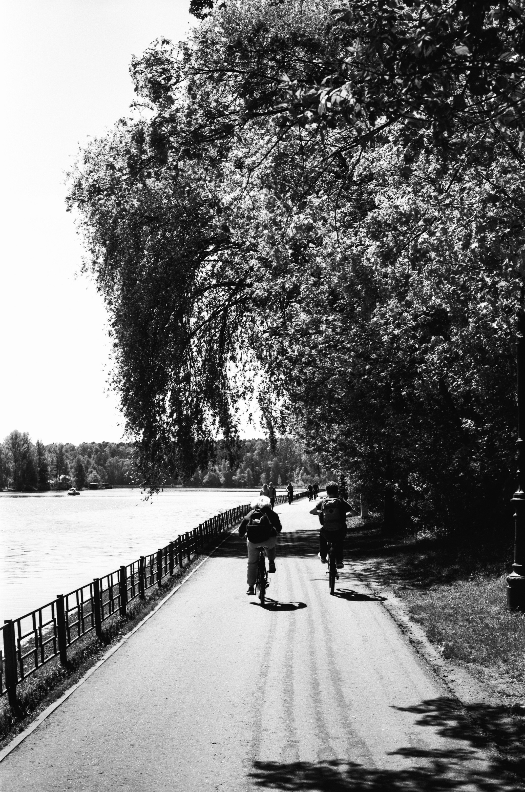 Kodak Retina Reflex S пример фото