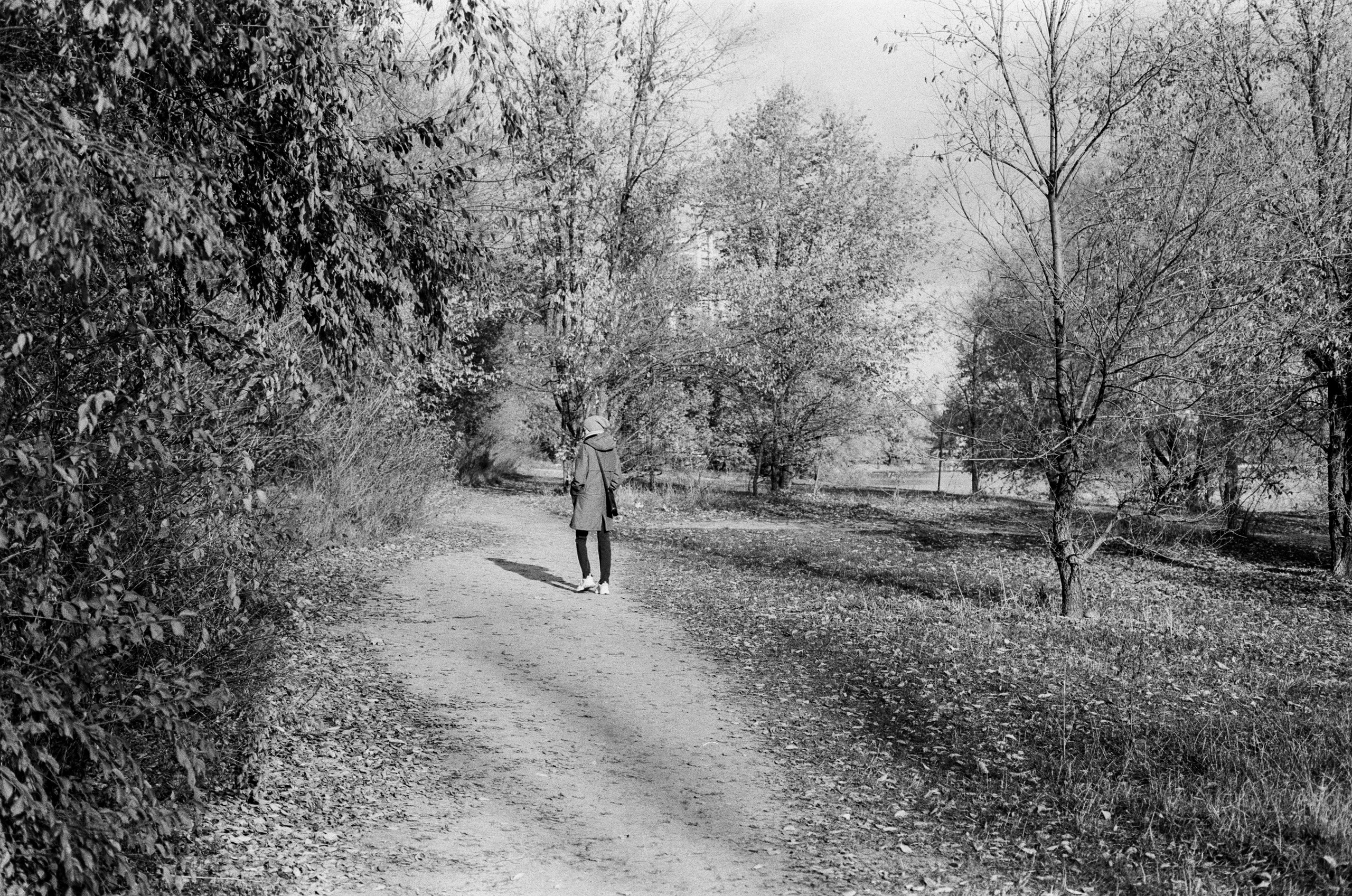 Cosina 55 mm f1.2 — Ricoh XR-10M / Тасма Тип-42 ISO 100