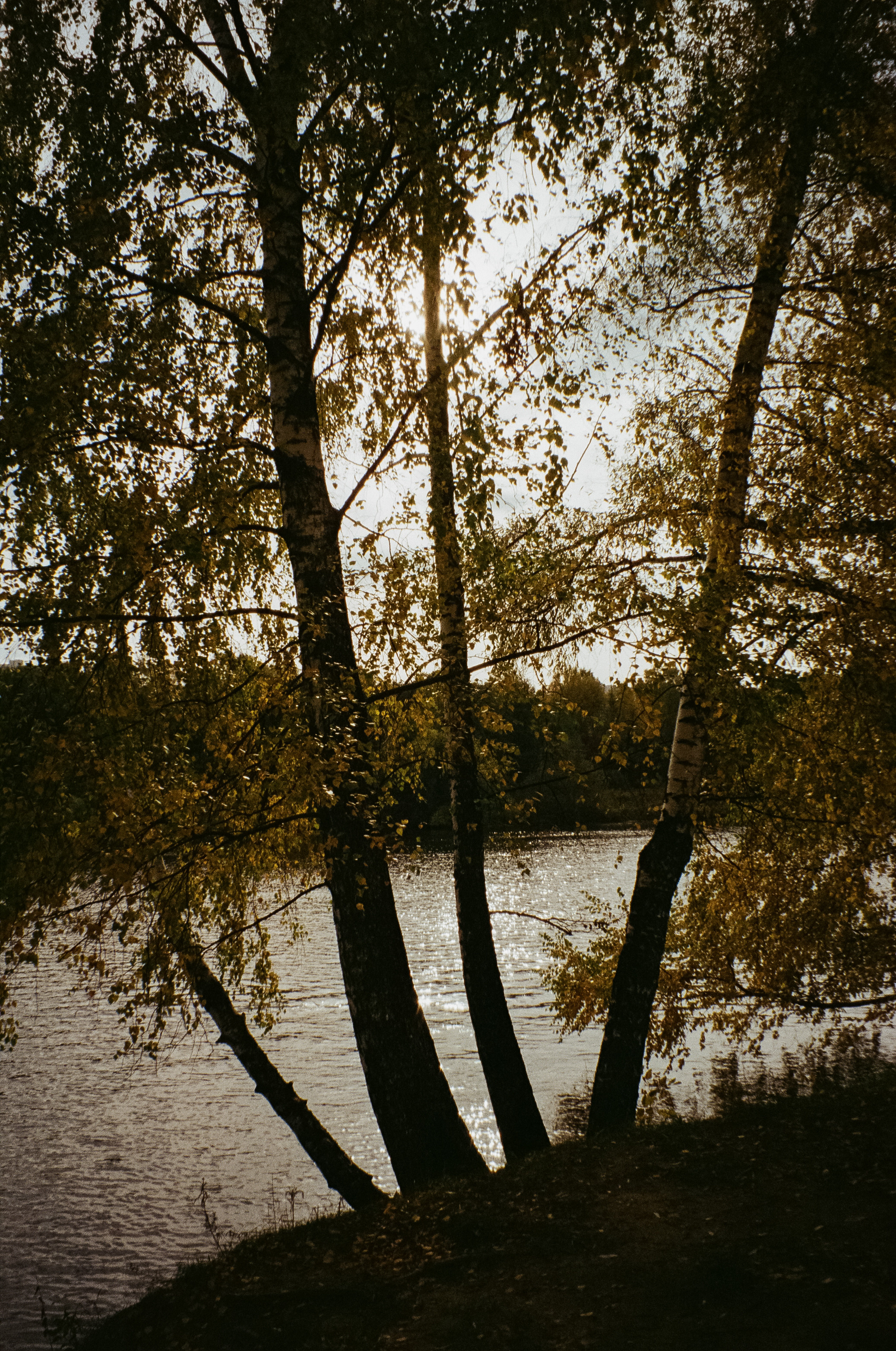 Осень на Kodak Gold 200