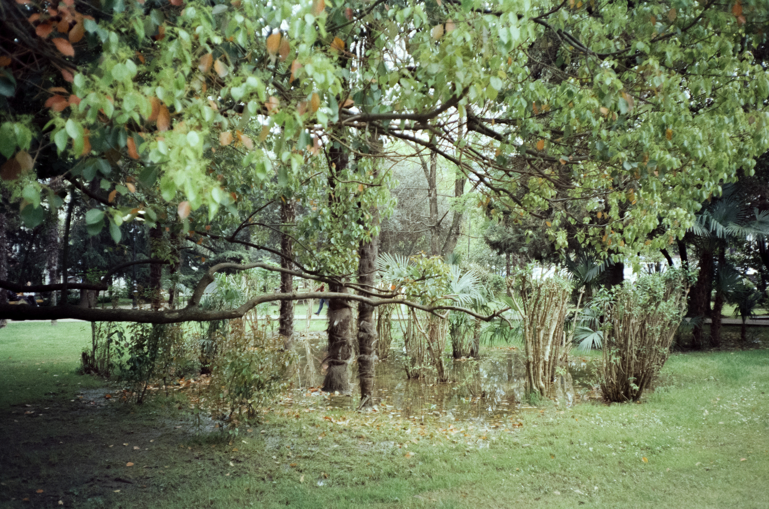 Комсомольский парк, Морской Порт Сочи — Revue 35 СС