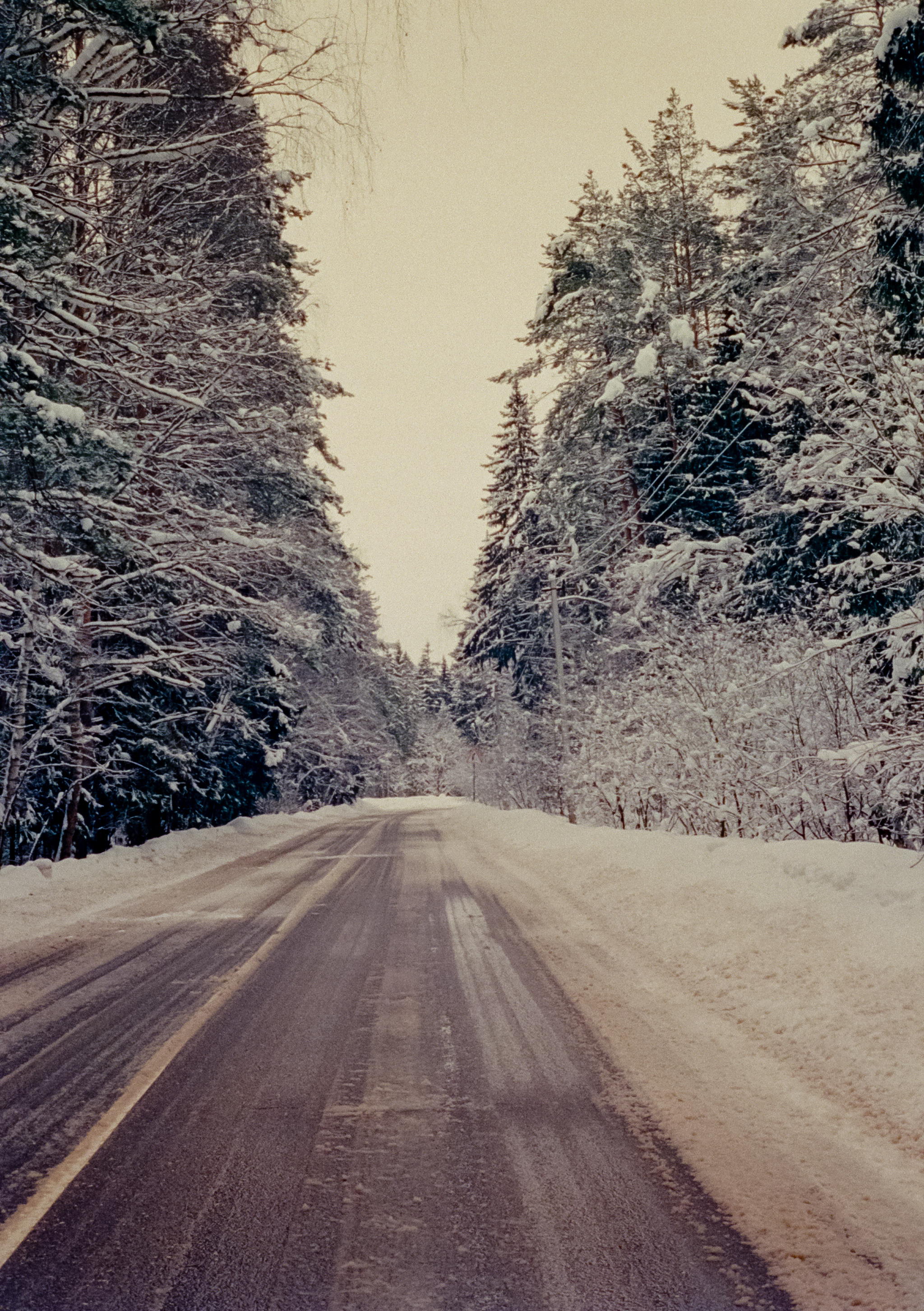 Olympus Pen EED / Kodak Vision 3 500T