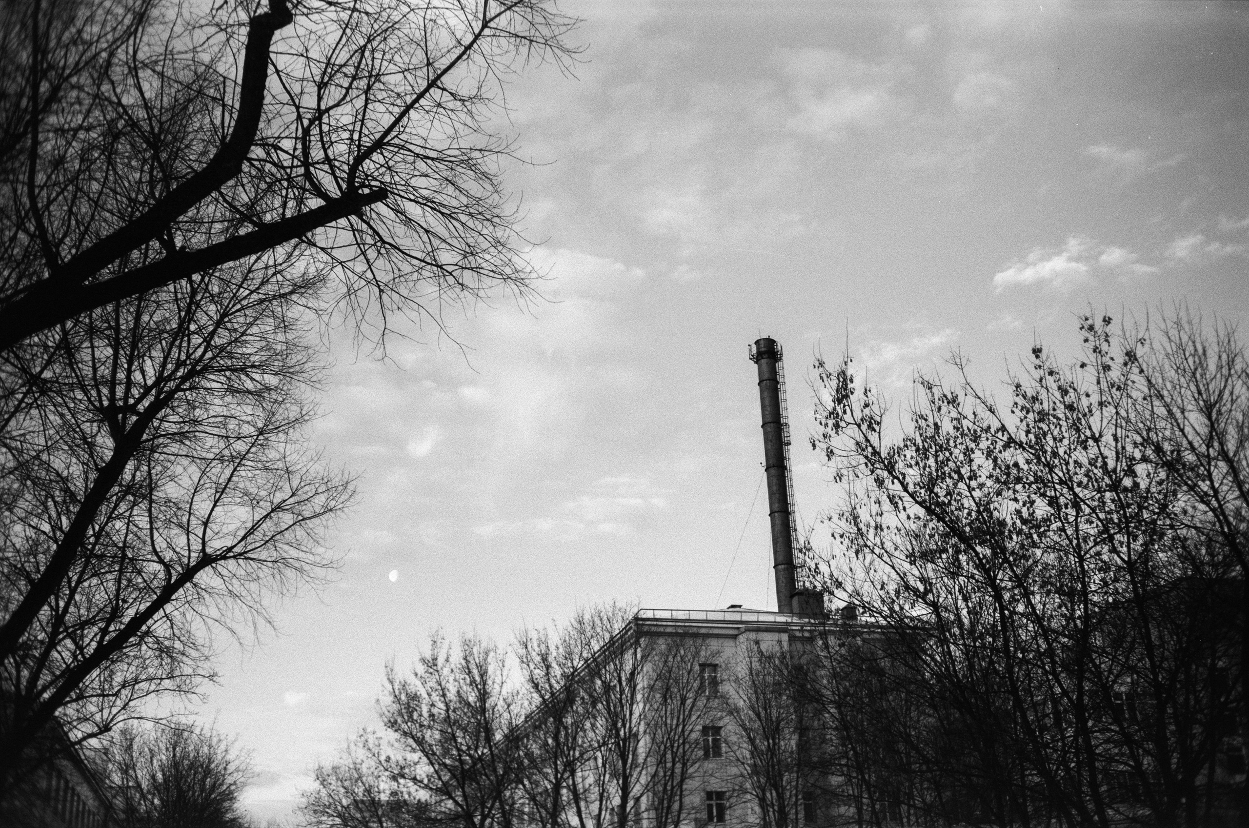 Тасма Т-25 ISO 100 / Revue 35