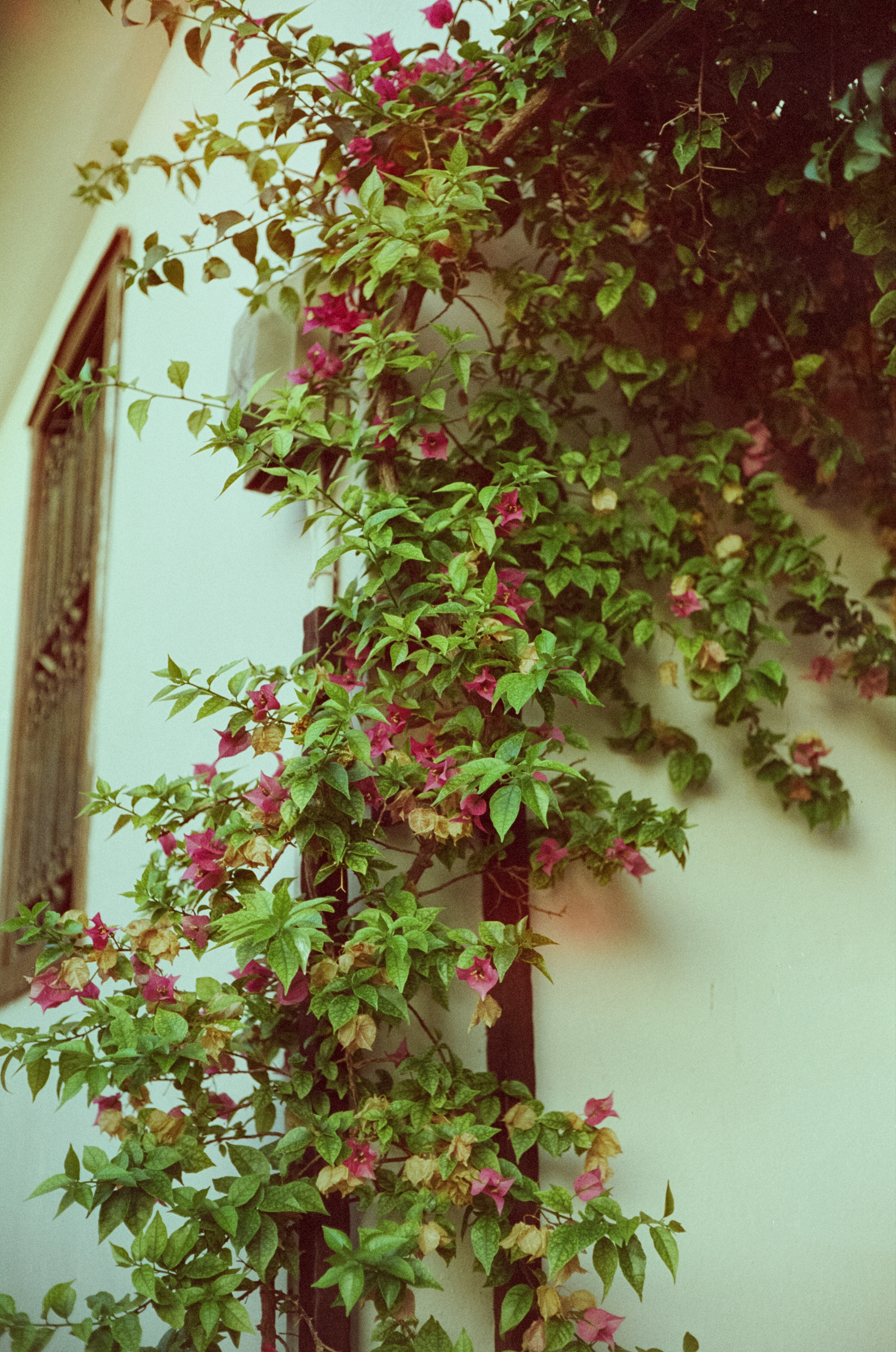 Калеичи — Старый Город Антальи