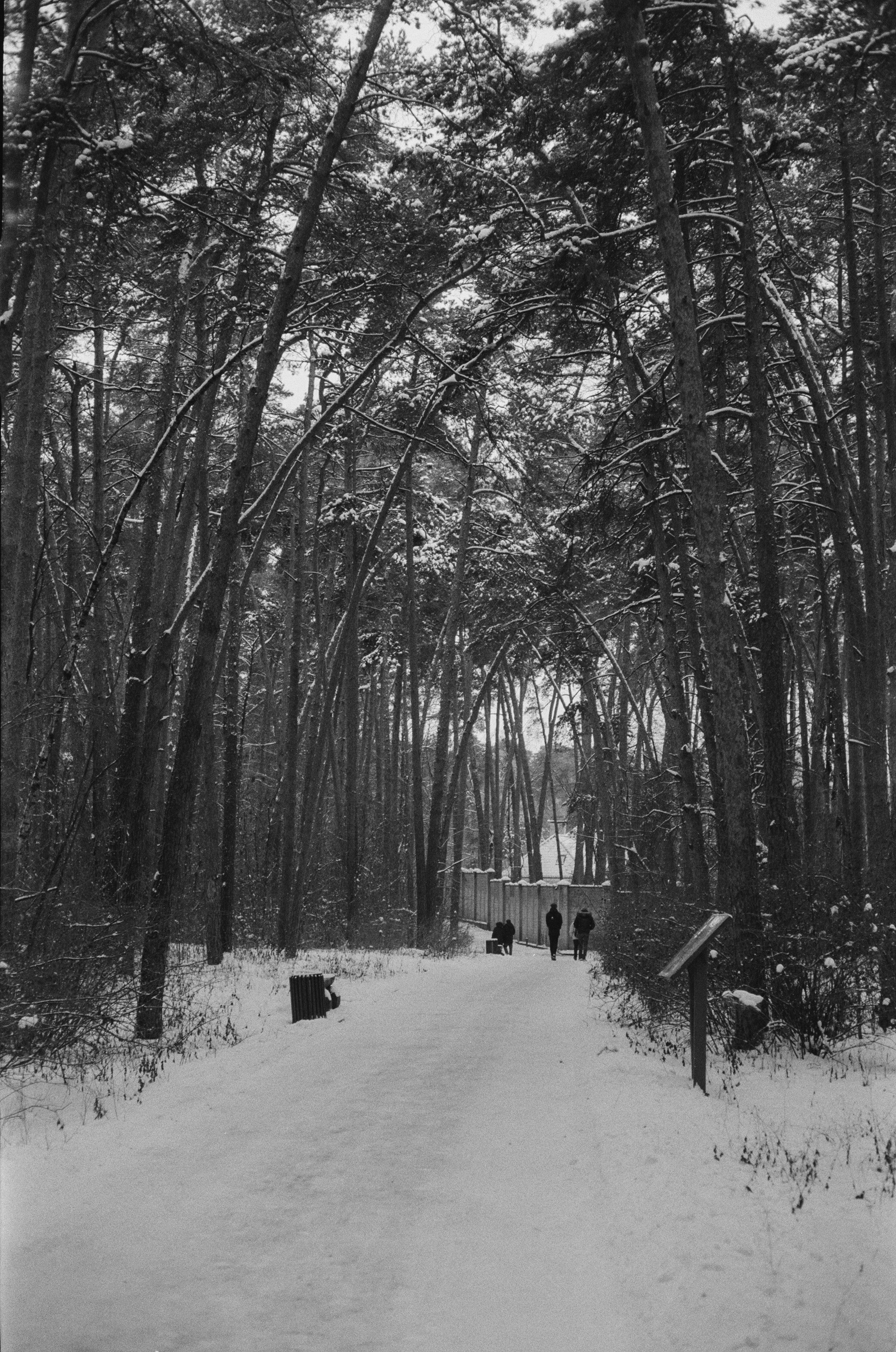 Konica III M / AgfaPhoto APX 400