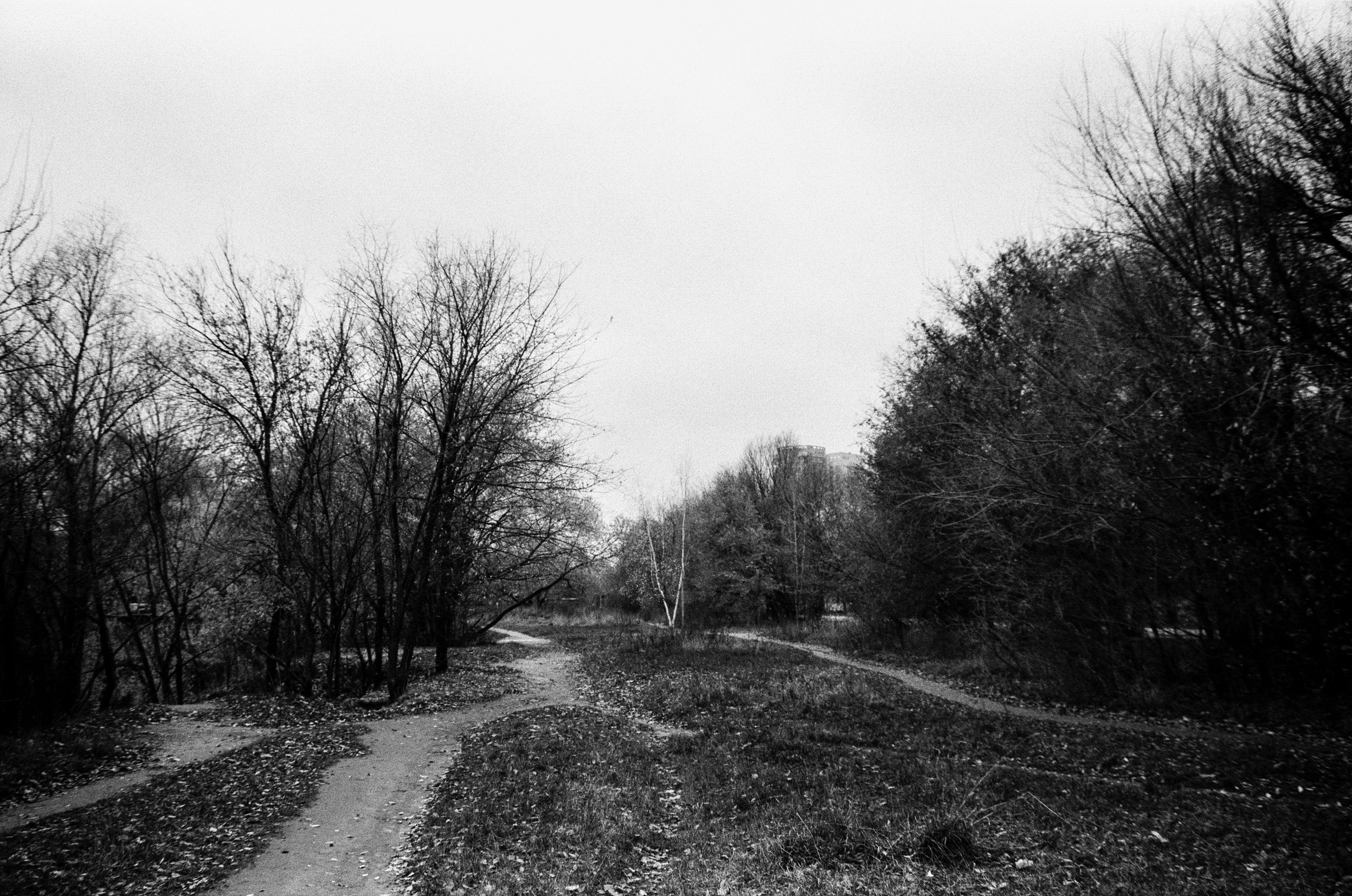 Nikon F80 — Voigtlander Ultron 28-105mm f2.8-3.8 / SFL T-42 ISO 400