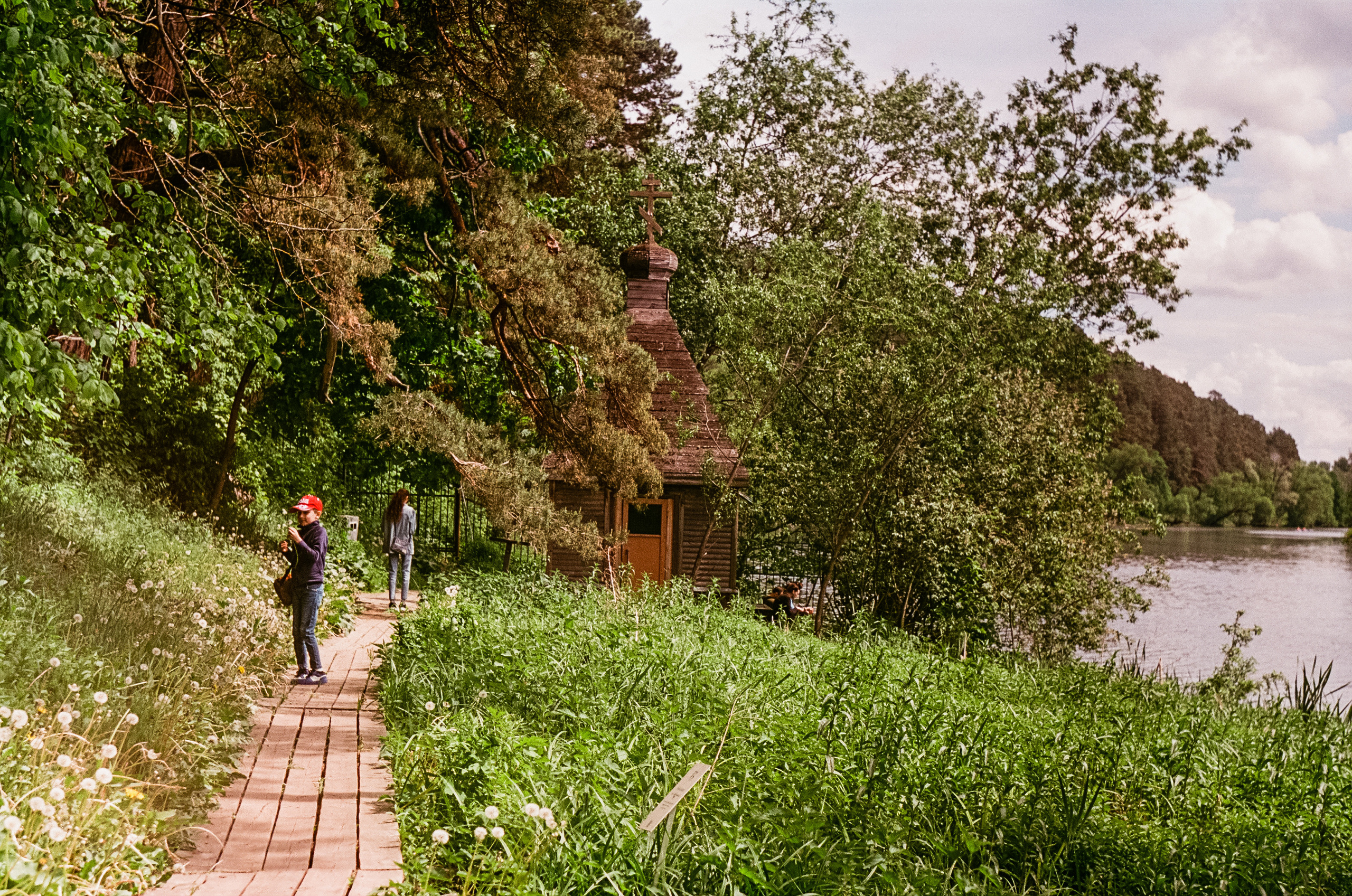 Edixa Reflex-D | Carl Zeiss Jena Biotar 58 mm f2.0 | SFA A-color 125