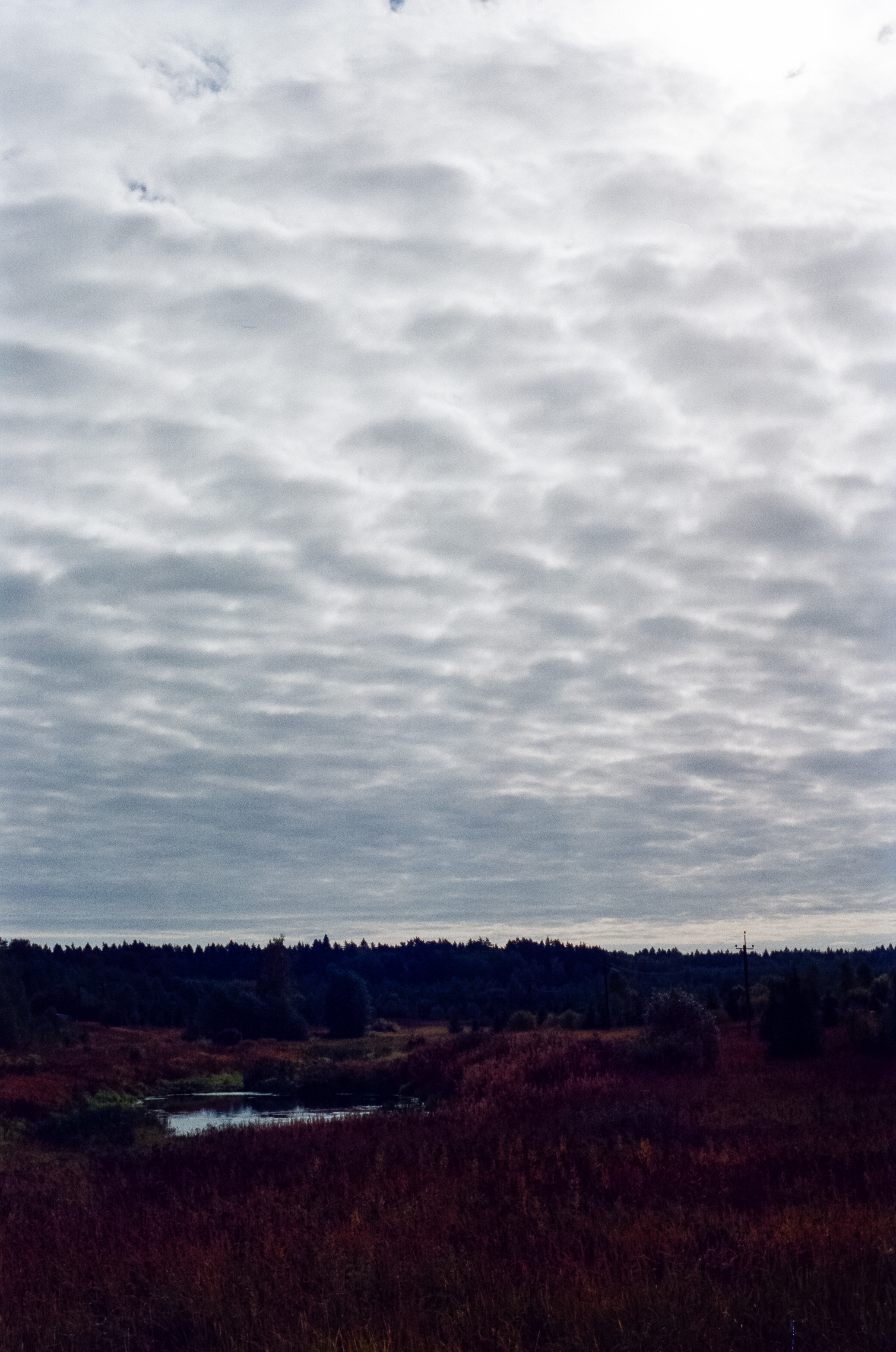 Kodak Retina IIIc — Retina Xenon C 50 mm f2.0 / Kodak Vision 3 250D