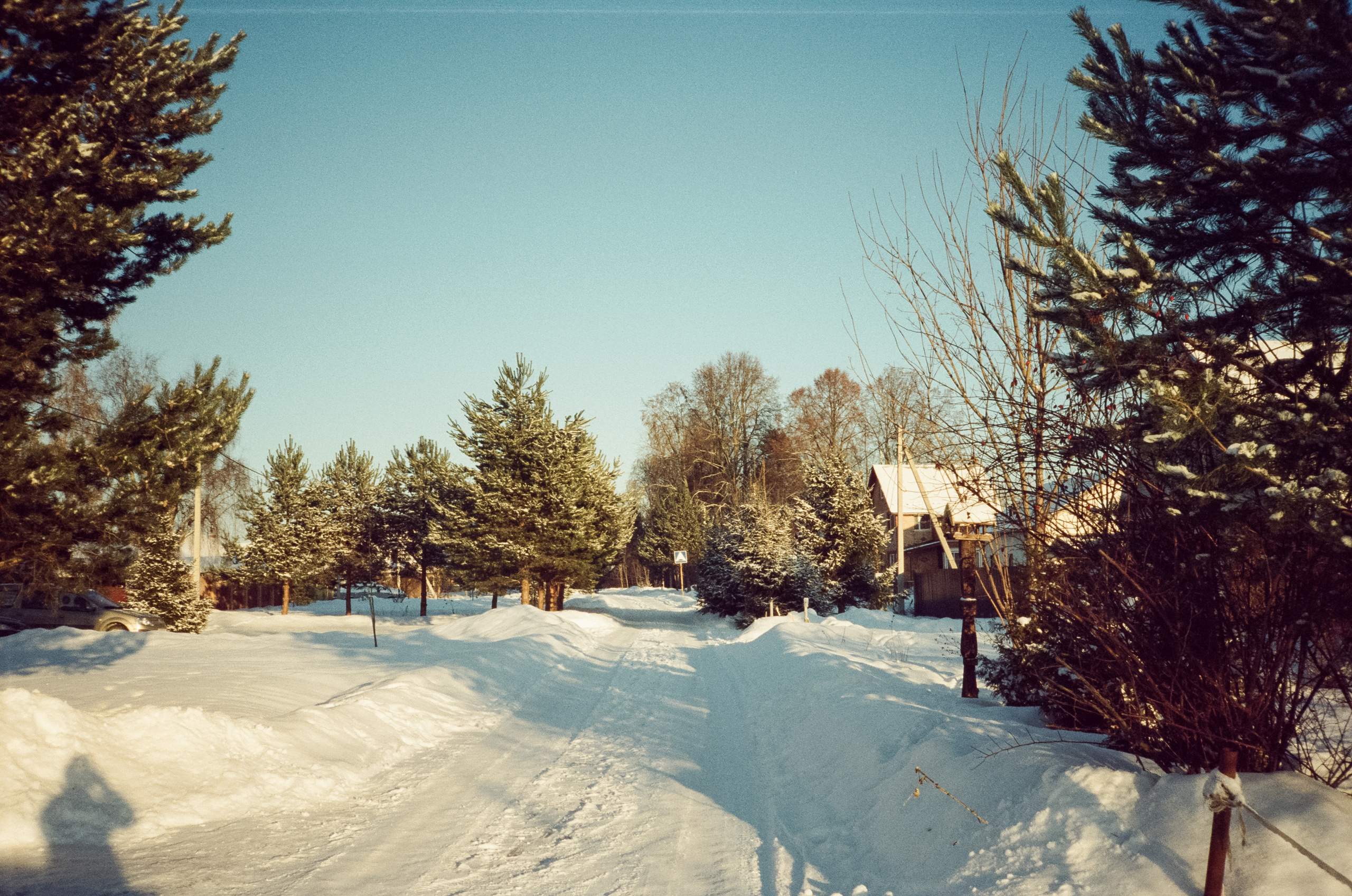 Kodak Vision 3 250D / Revue 35CC