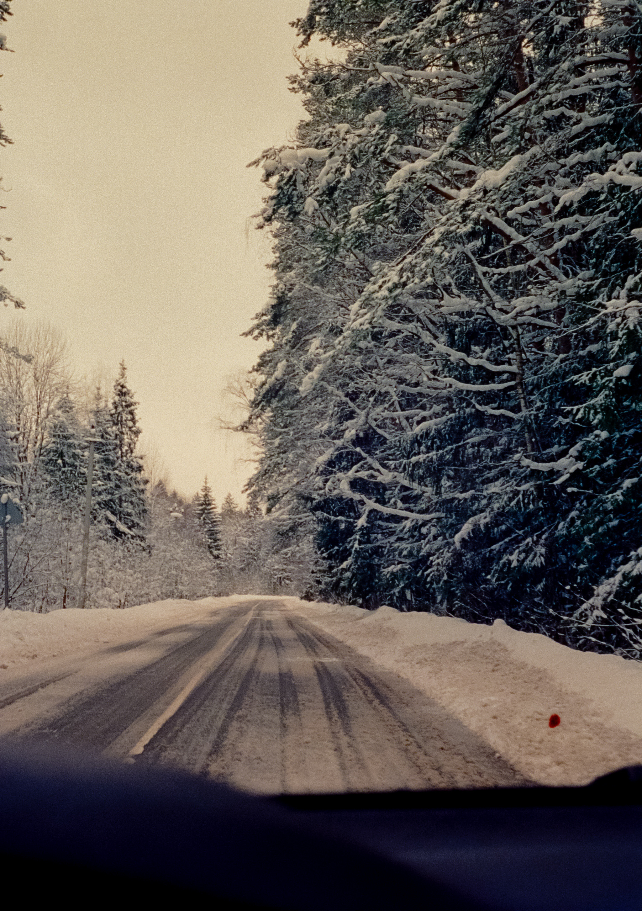 Olympus Pen EED / Kodak Vision 3 500T