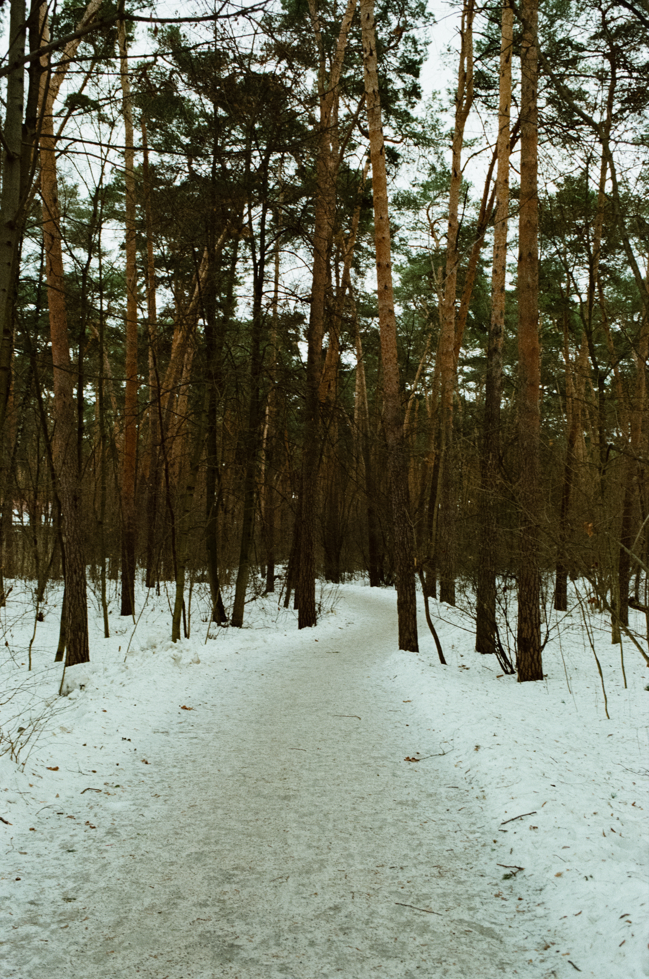 SMC Pentax-FA 35 mm f2.0 — Pentax MZ-3 / Kodak Color Plus 200