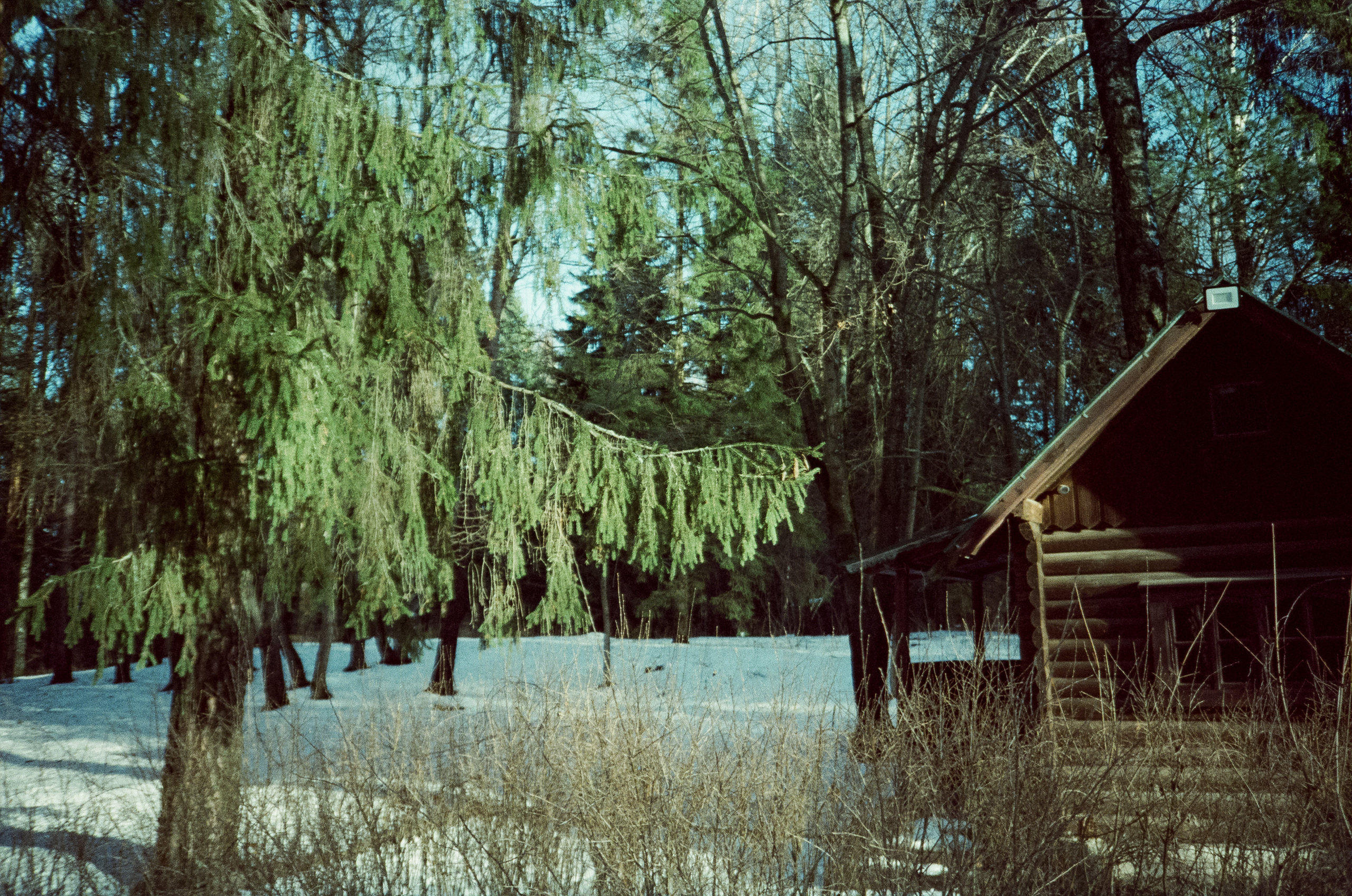 Примеры фотографий на Fuji DL-300 (Поленово)